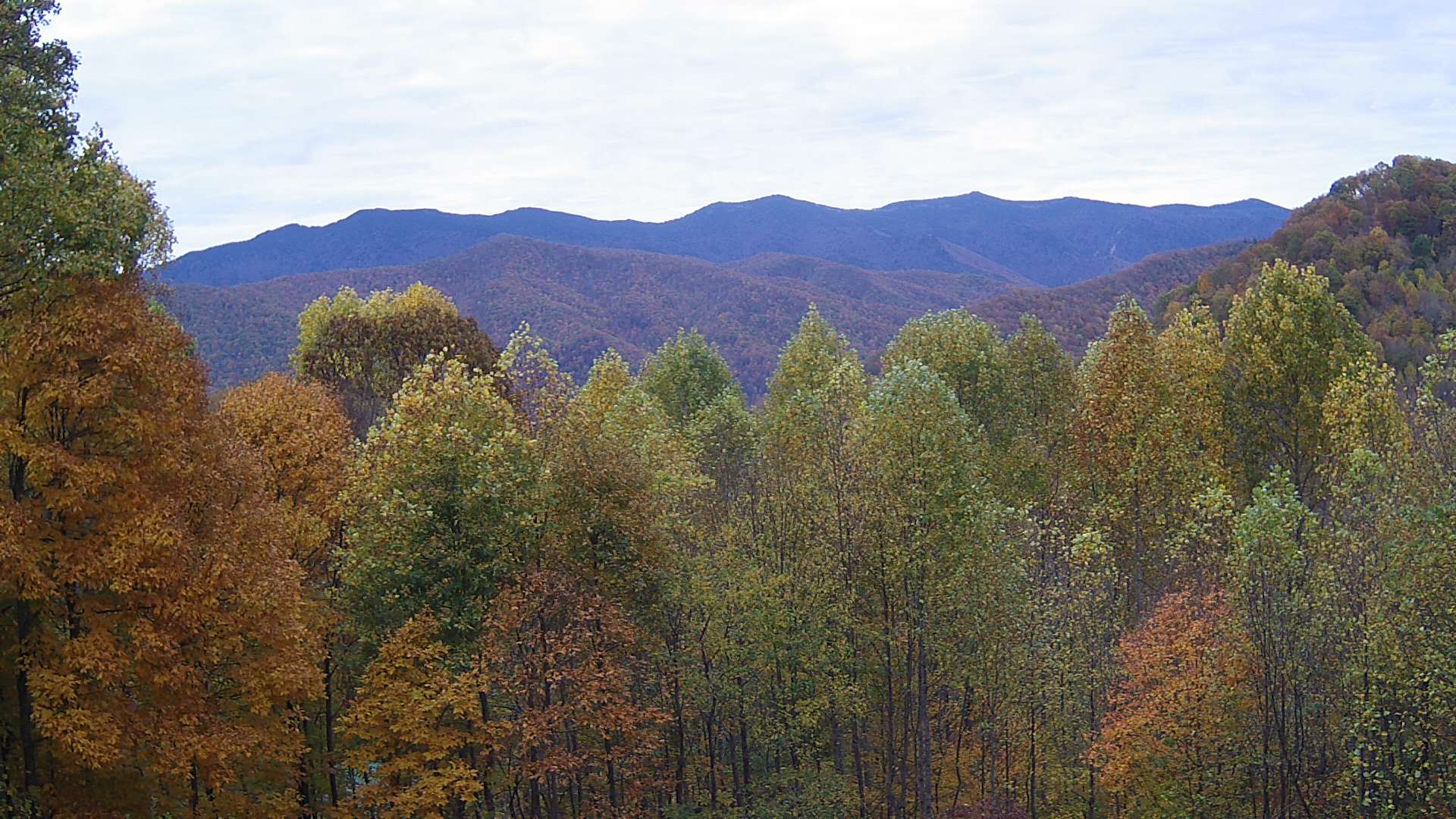 click for next image... slideshow image