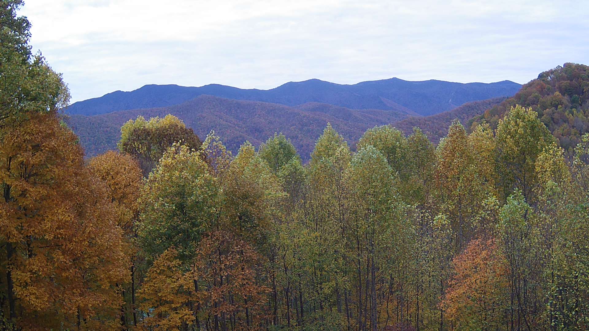 click for next image... slideshow image