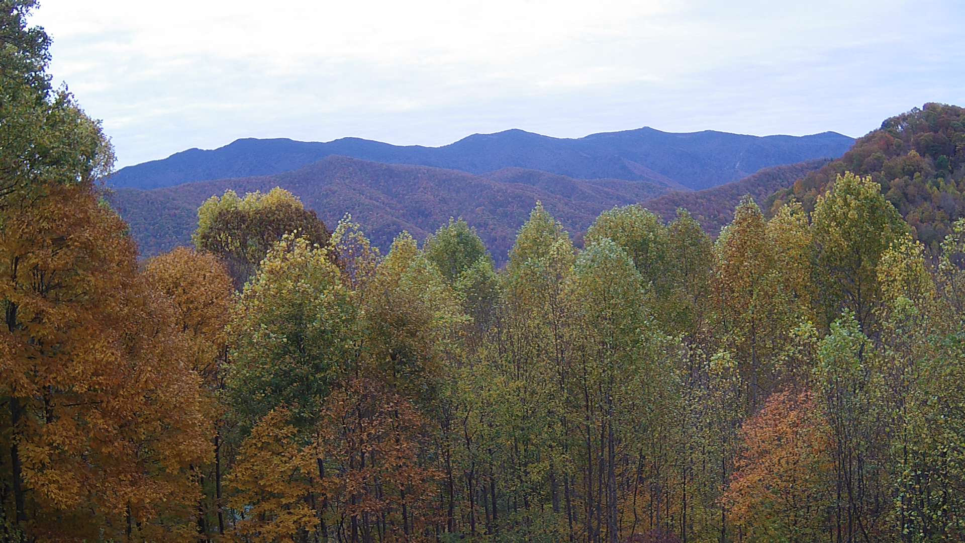 click for next image... slideshow image