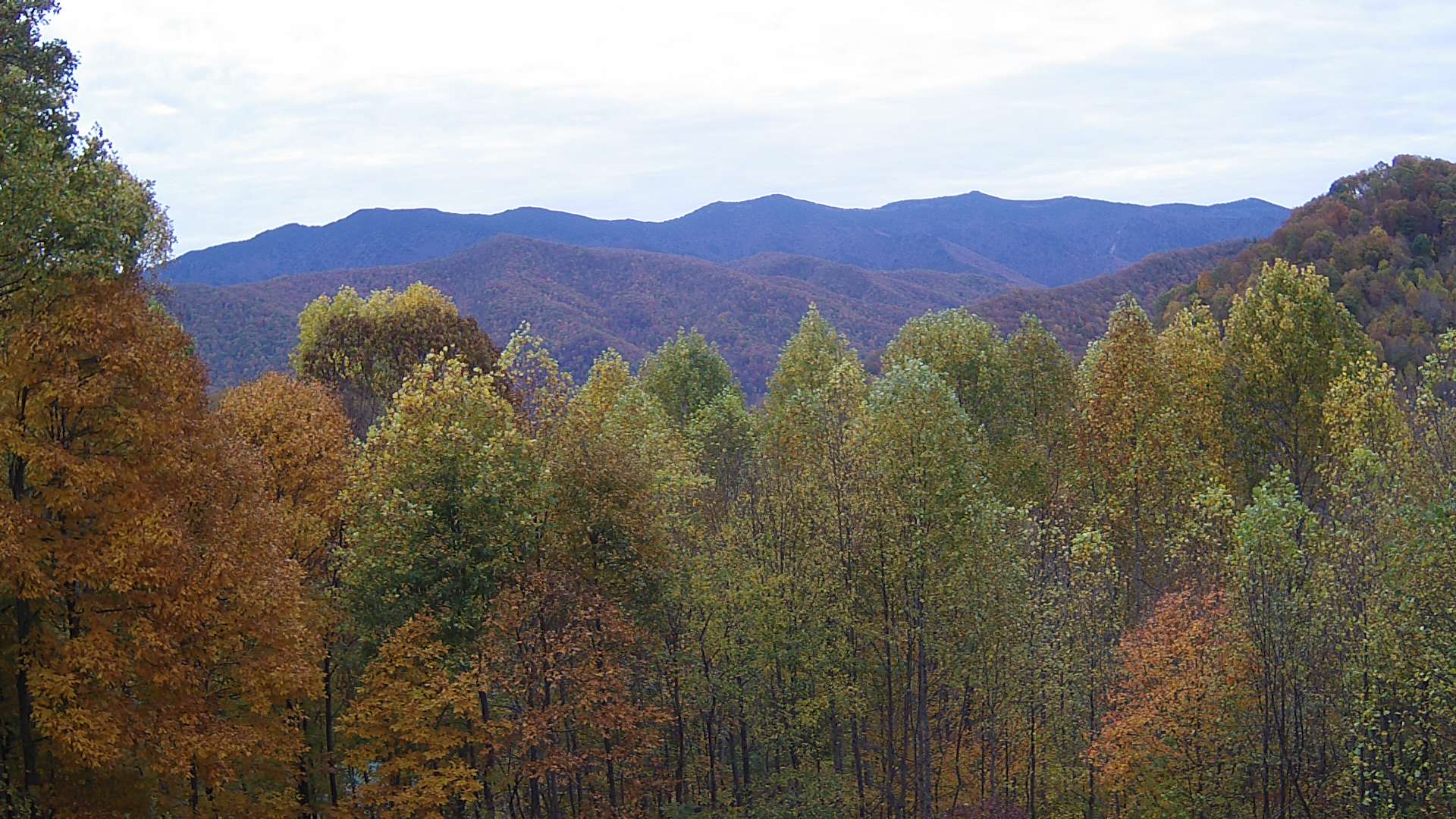 click for next image... slideshow image