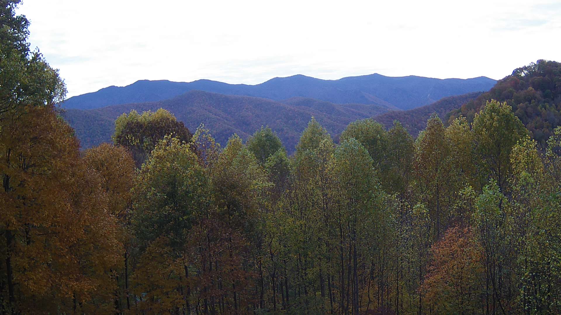 click for next image... slideshow image