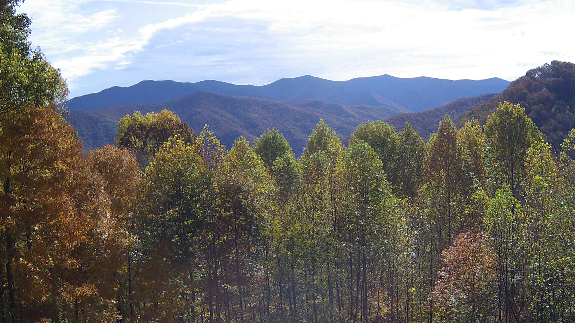 click for next image... slideshow image