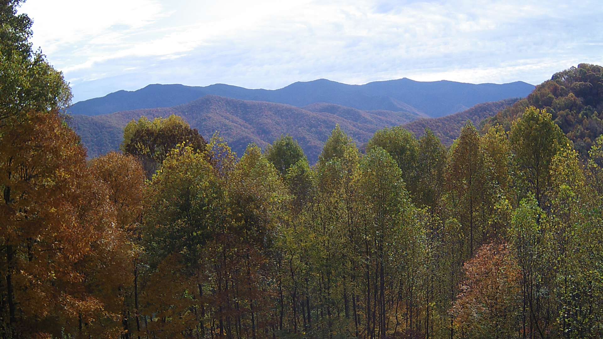 click for next image... slideshow image