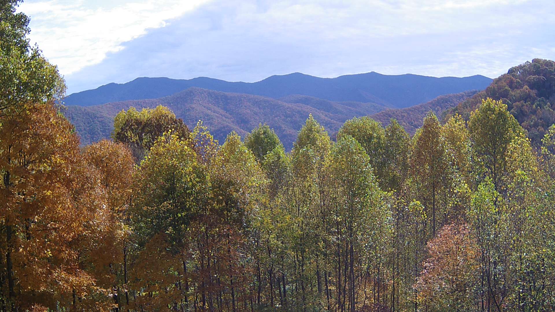 click for next image... slideshow image