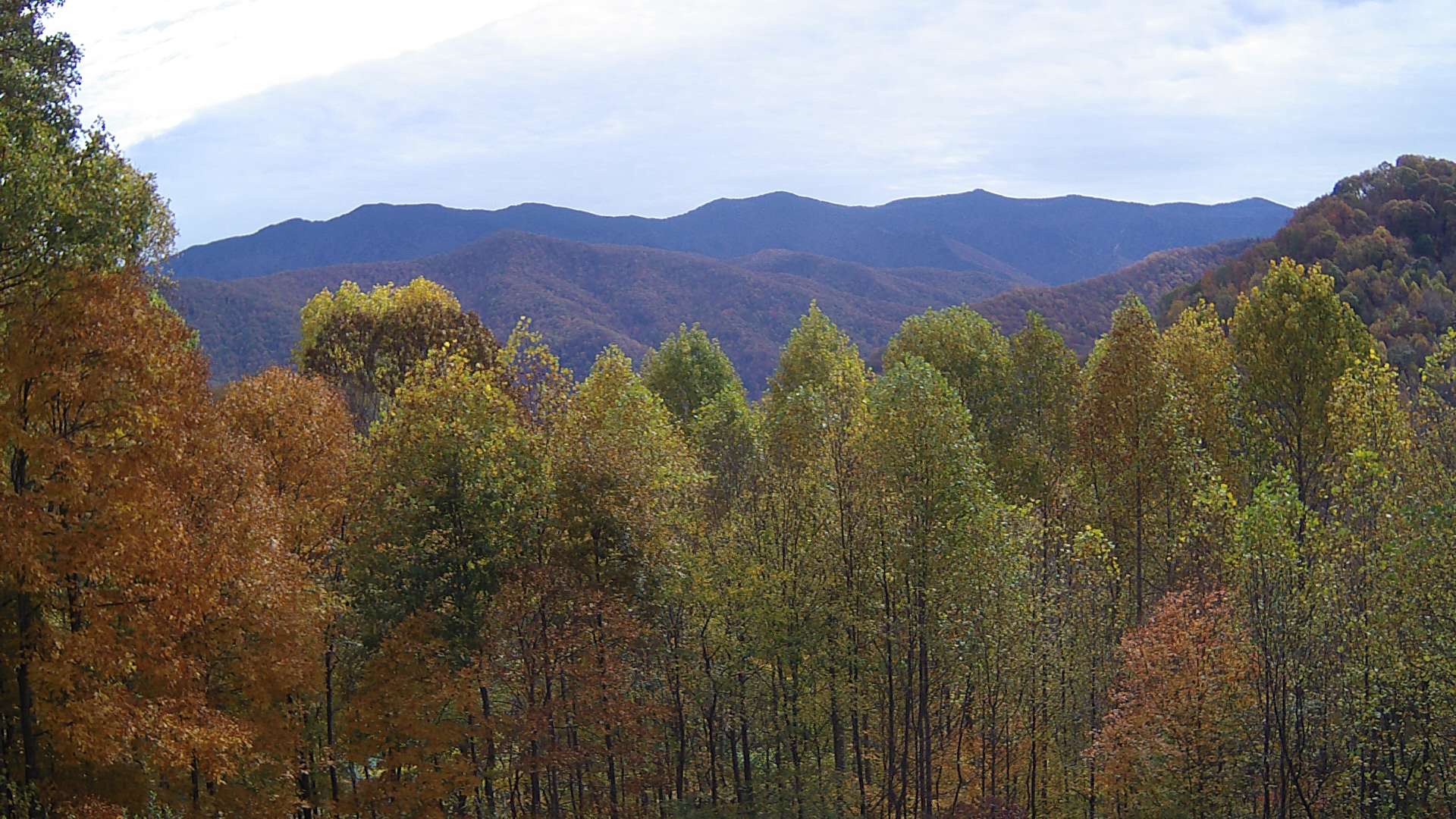 click for next image... slideshow image