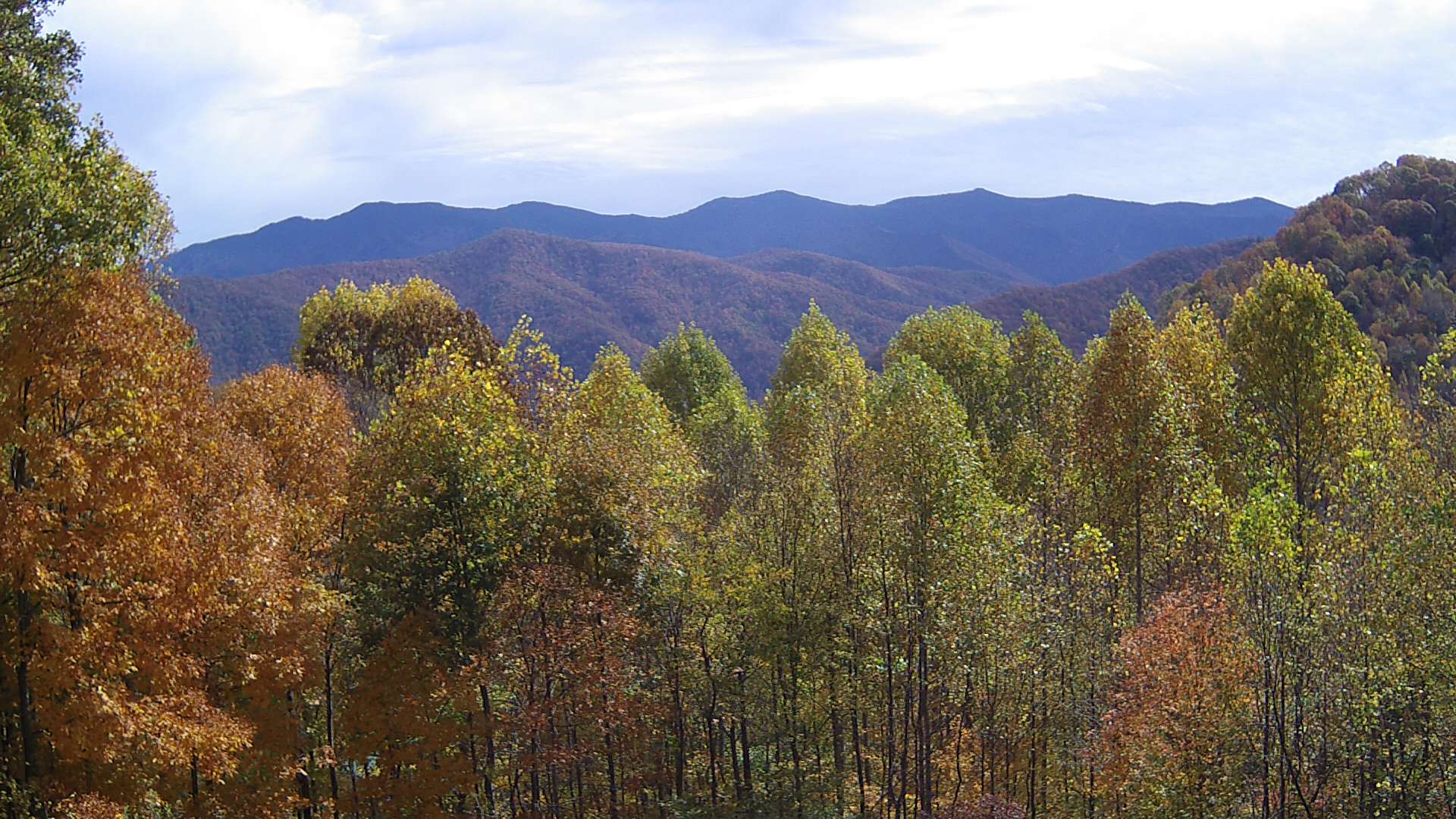 click for next image... slideshow image