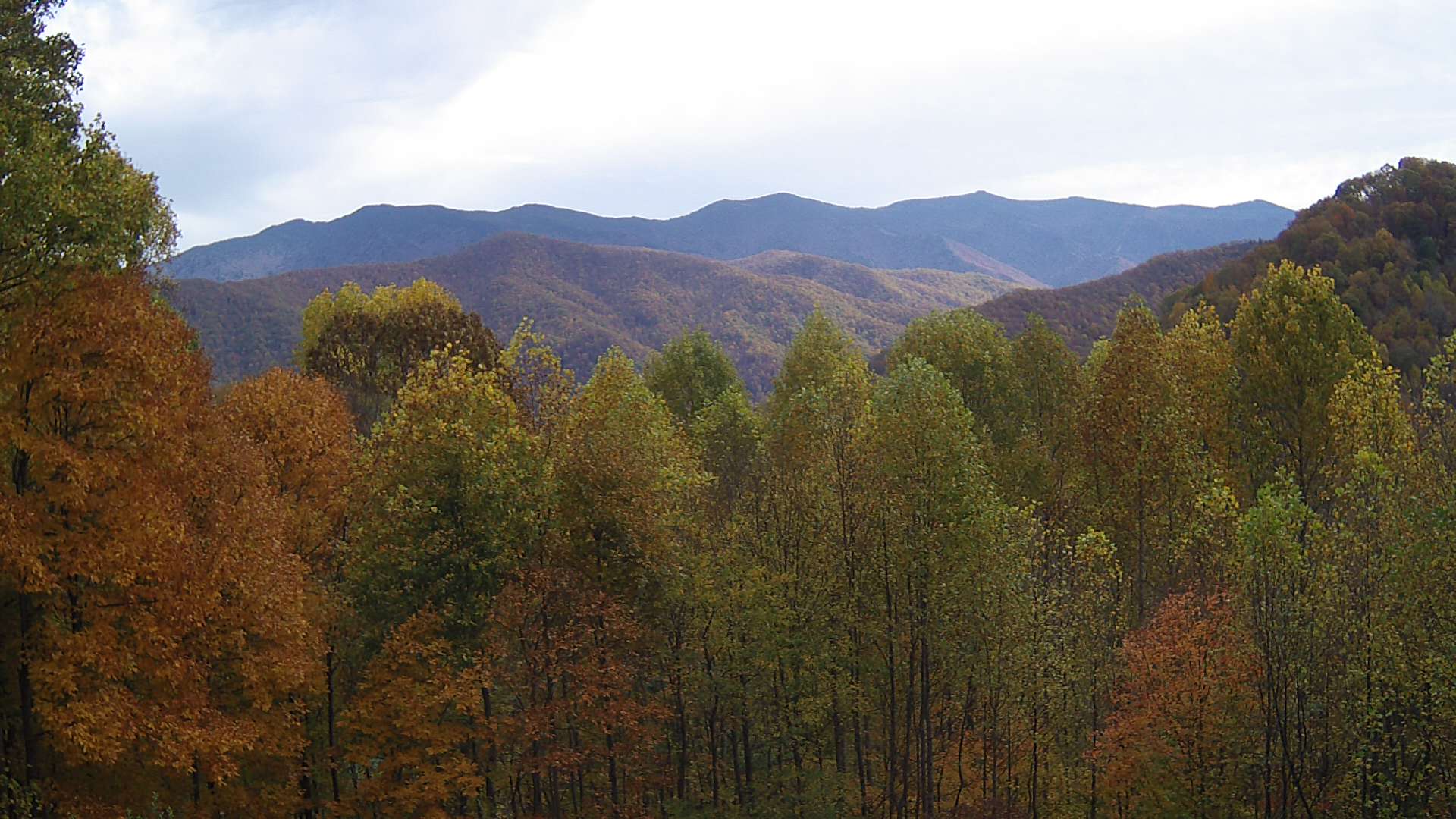 click for next image... slideshow image