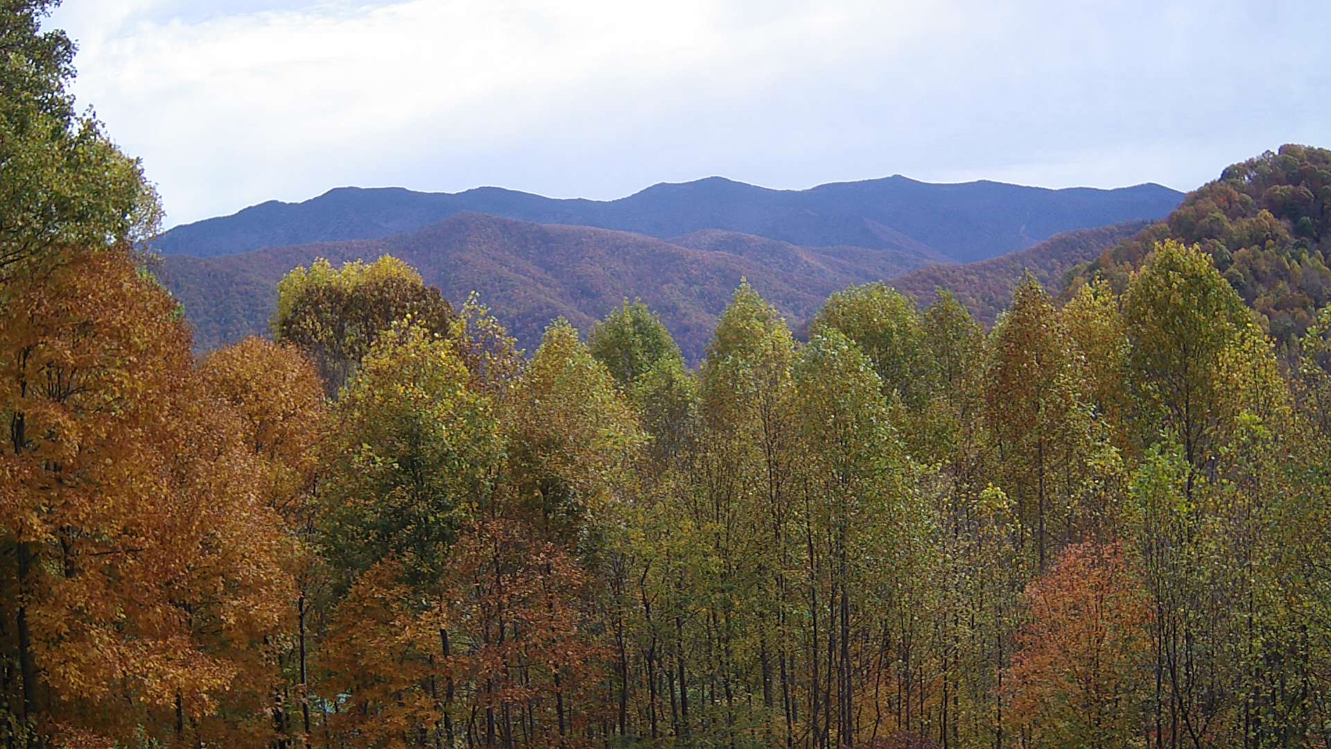 click for next image... slideshow image