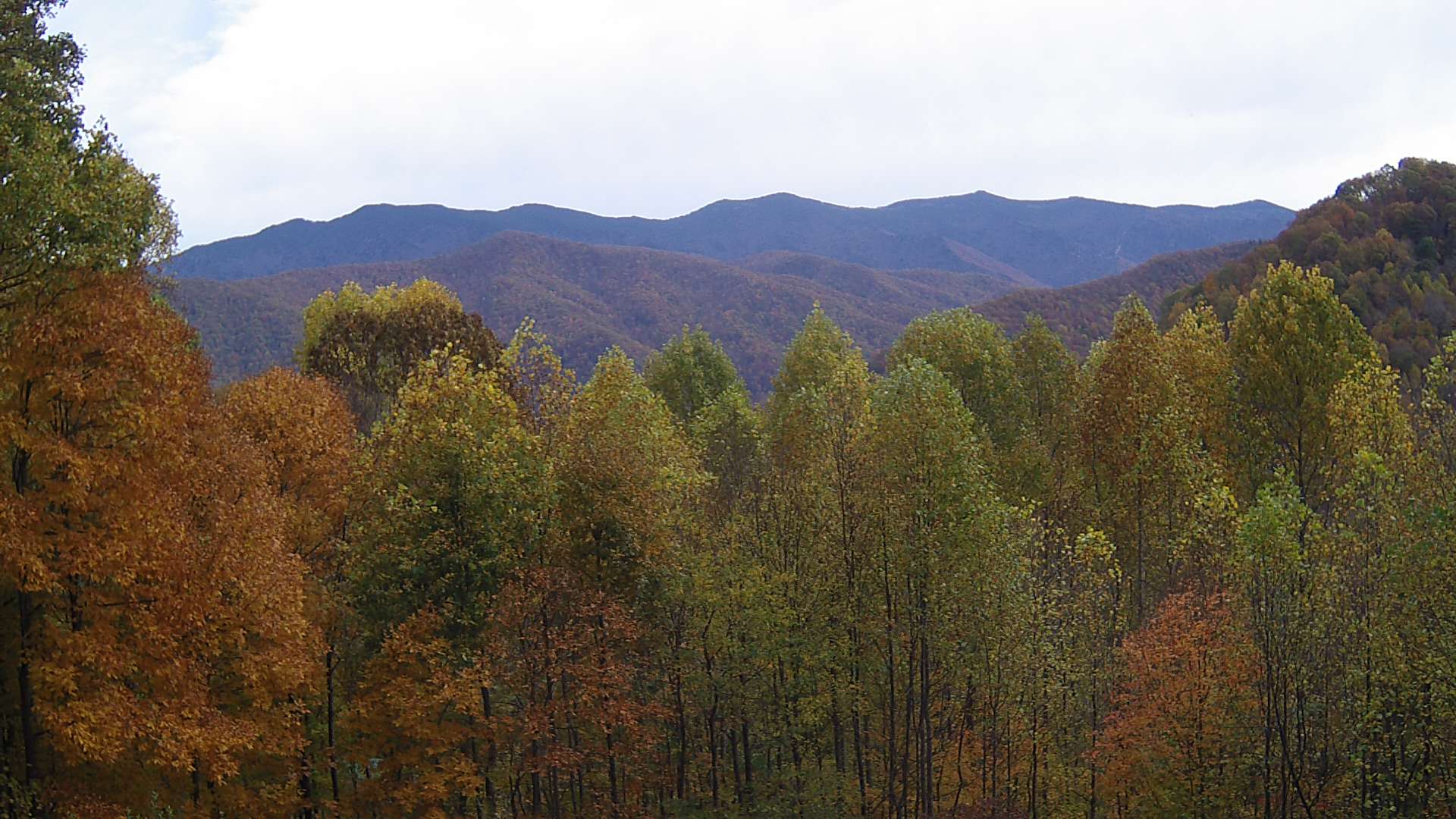 click for next image... slideshow image