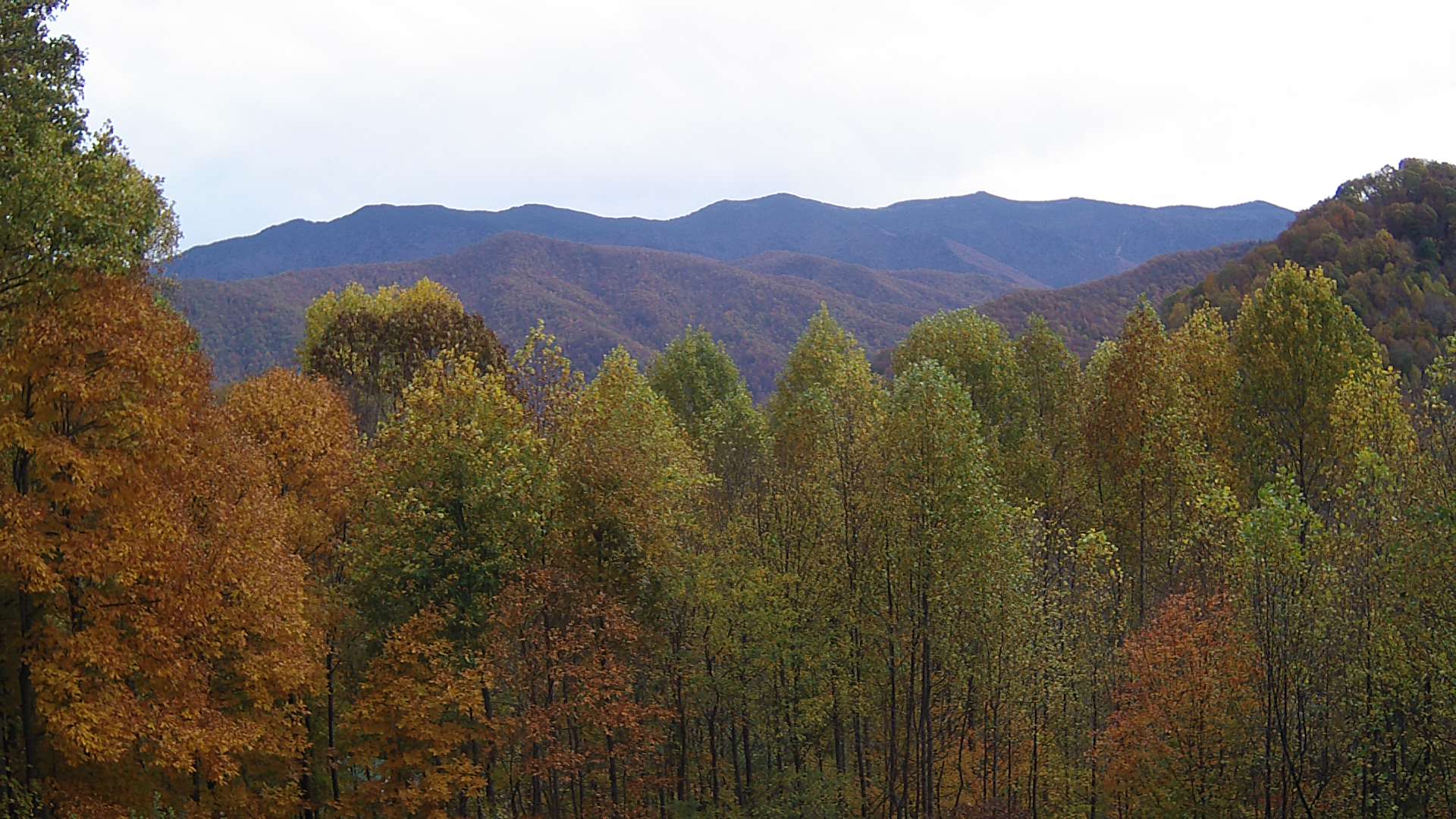 click for next image... slideshow image