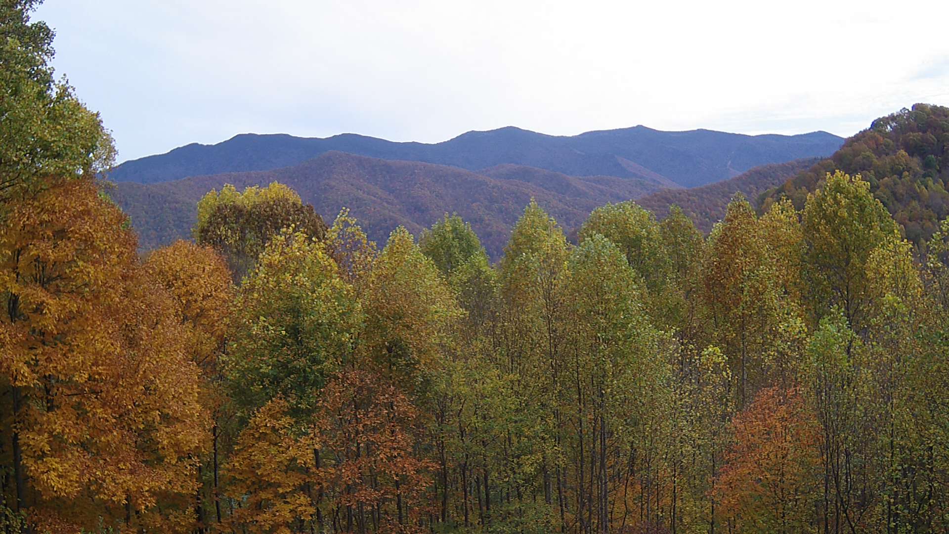 click for next image... slideshow image