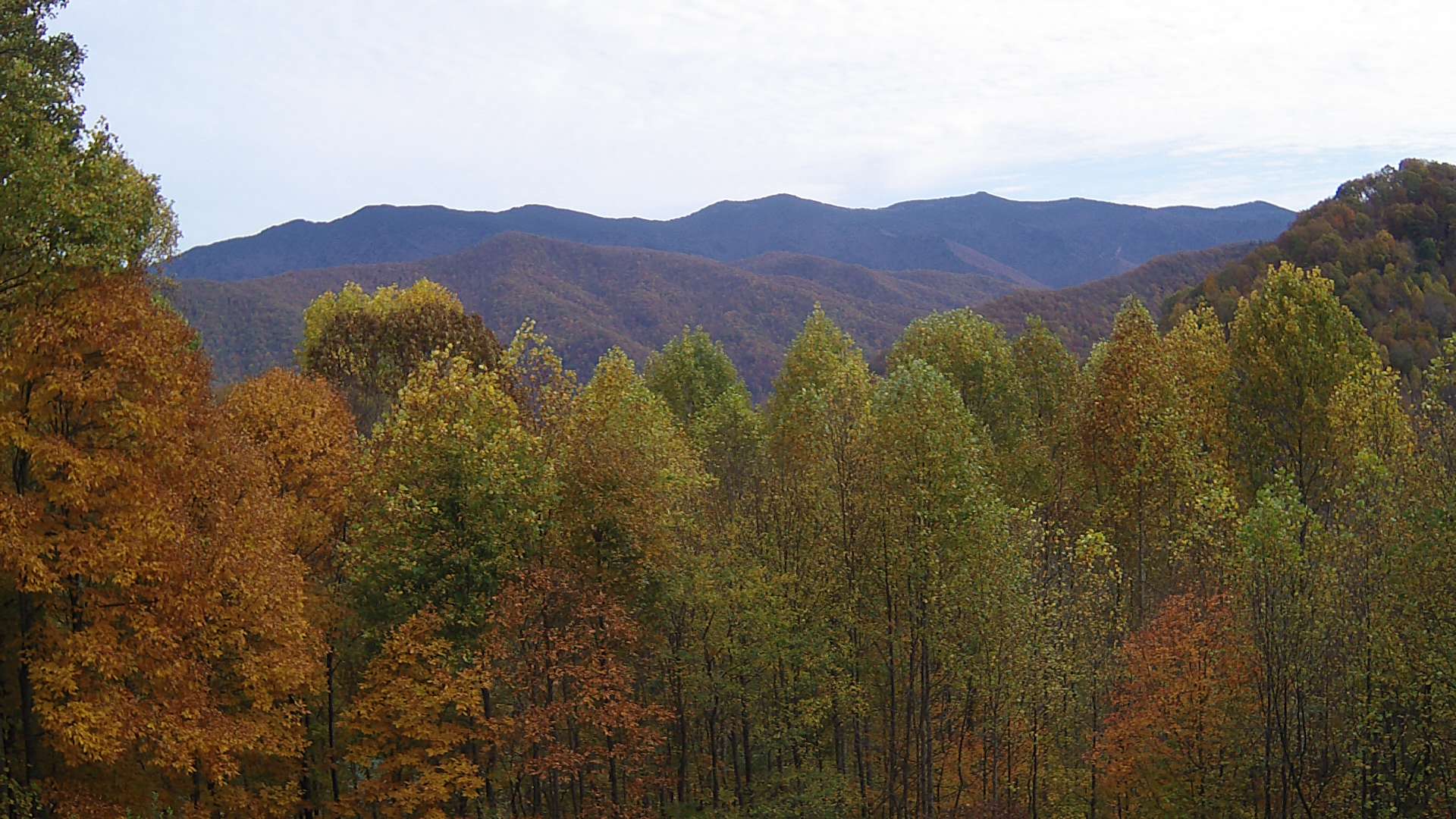 click for next image... slideshow image