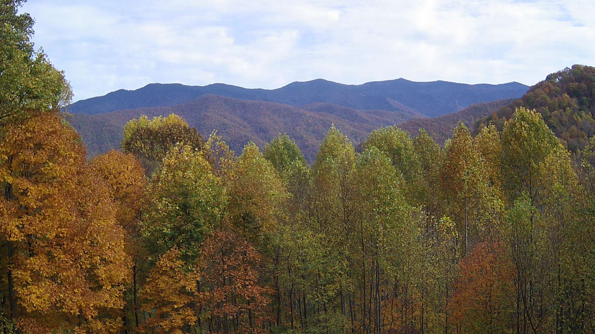 click for next image... slideshow image