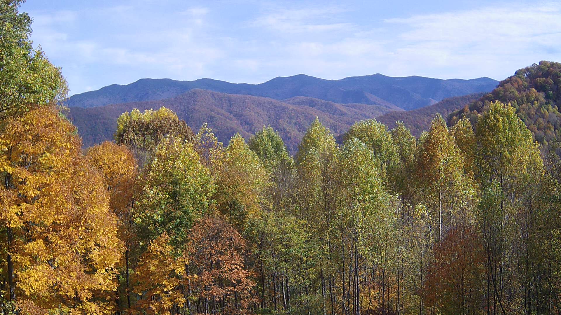 click for next image... slideshow image