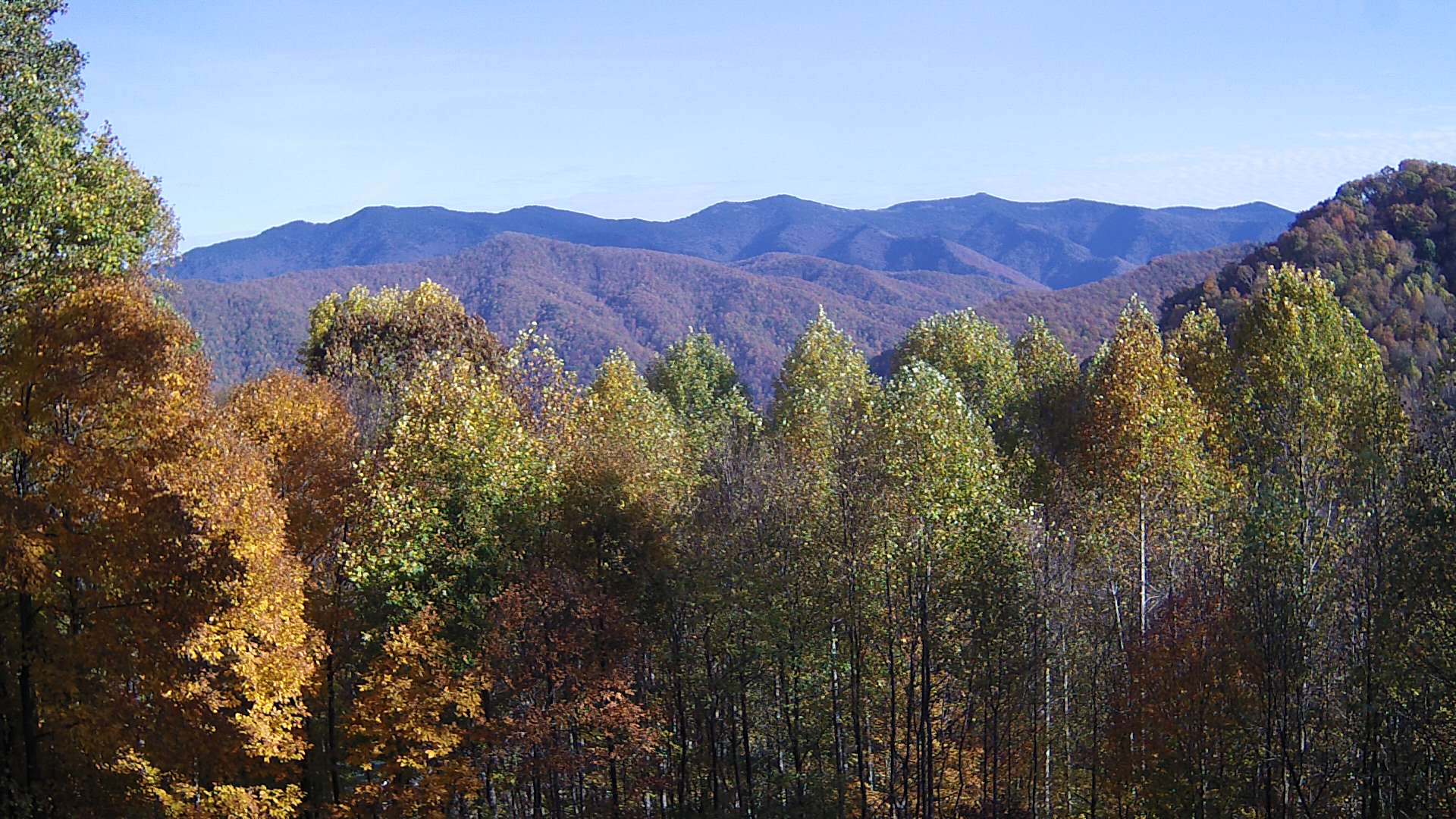 click for next image... slideshow image