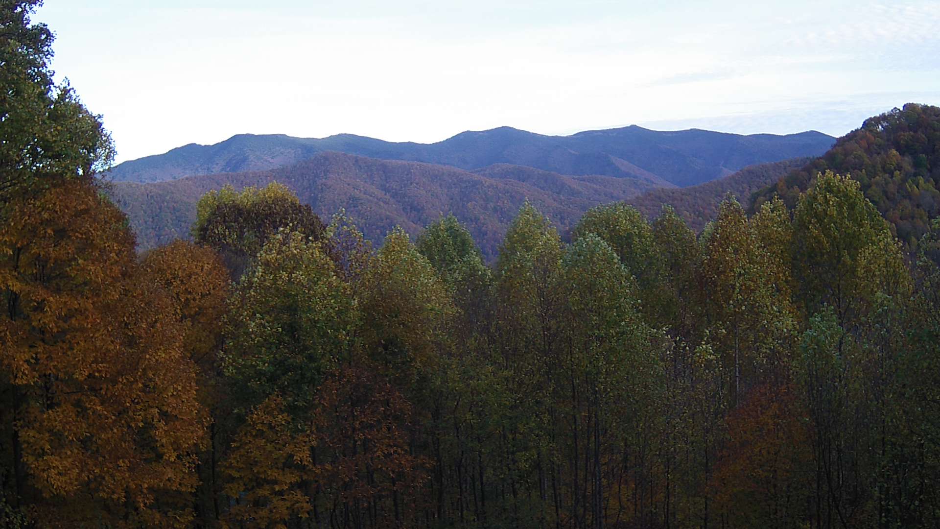 click for next image... slideshow image