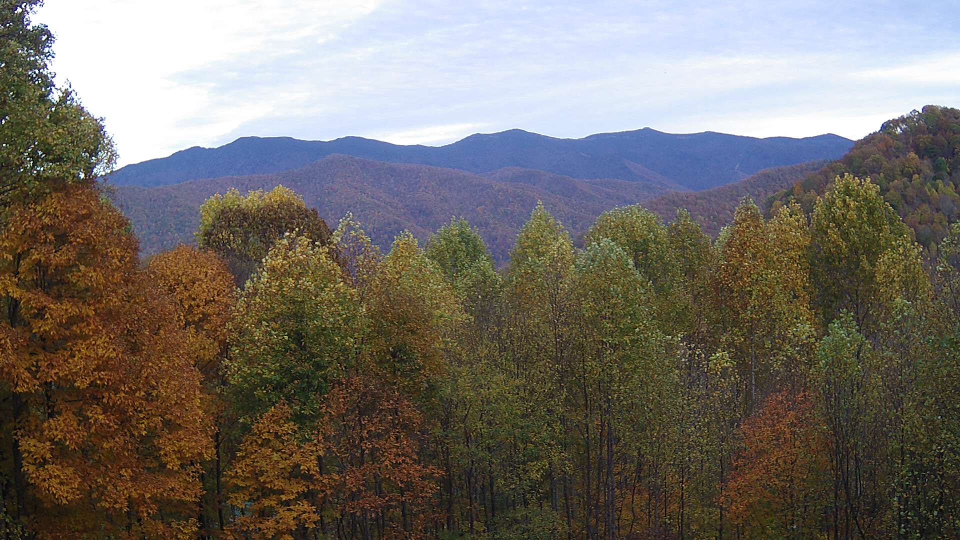 click for next image... slideshow image