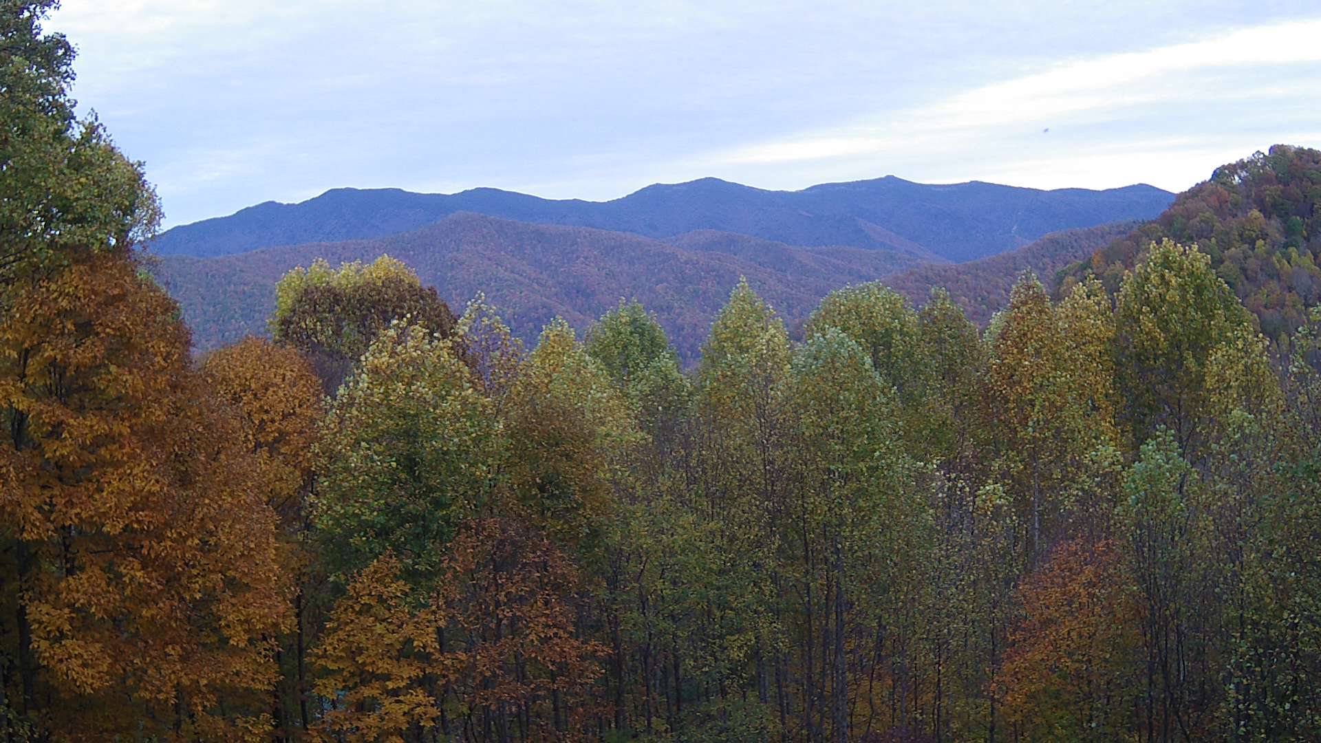 click for next image... slideshow image