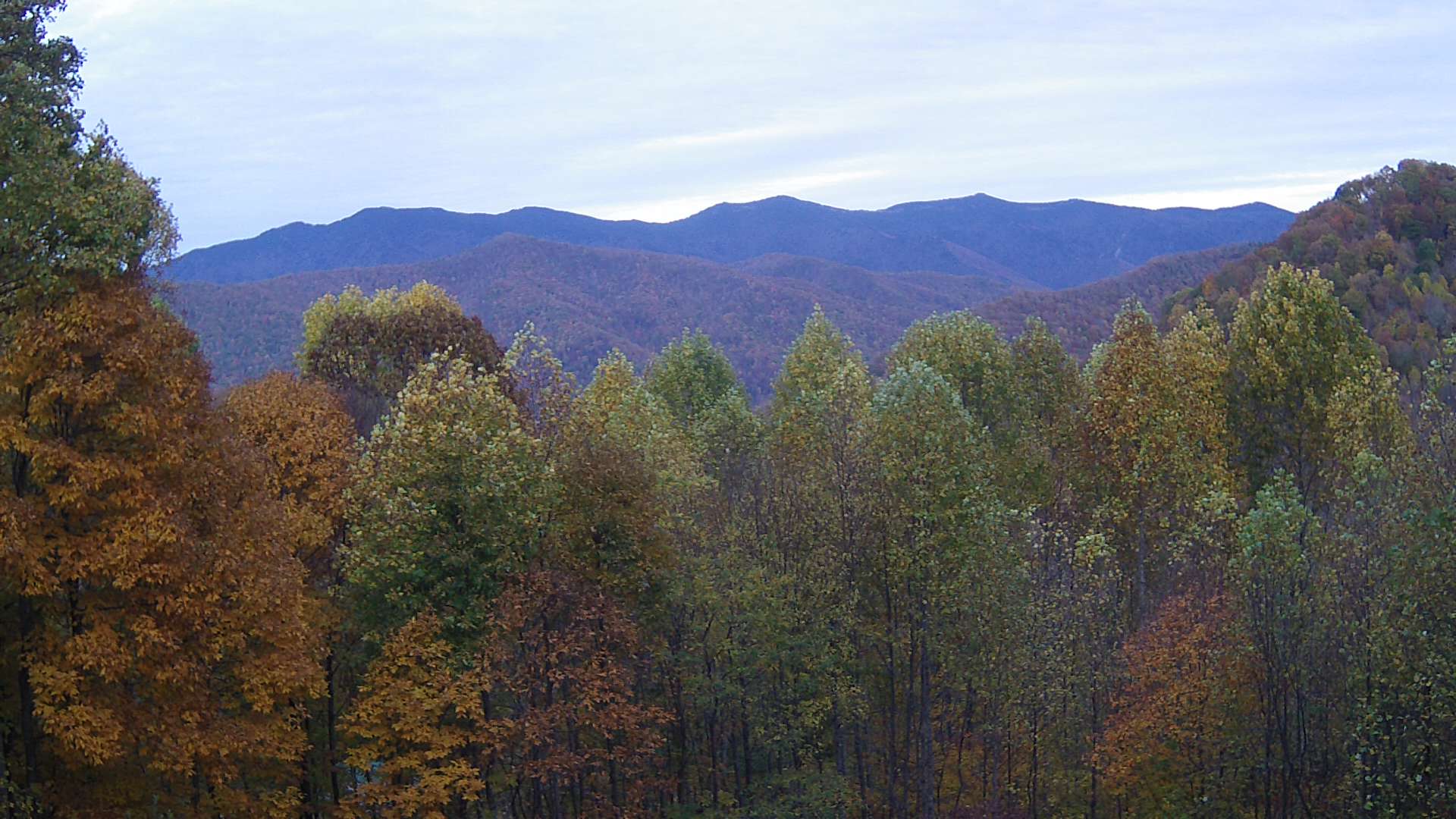 click for next image... slideshow image