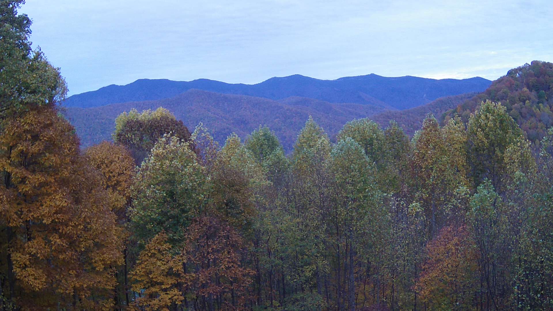 click for next image... slideshow image