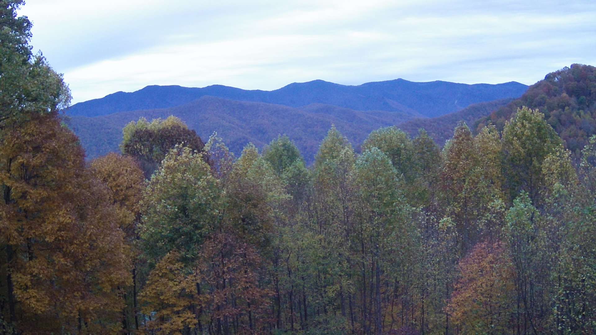 click for next image... slideshow image