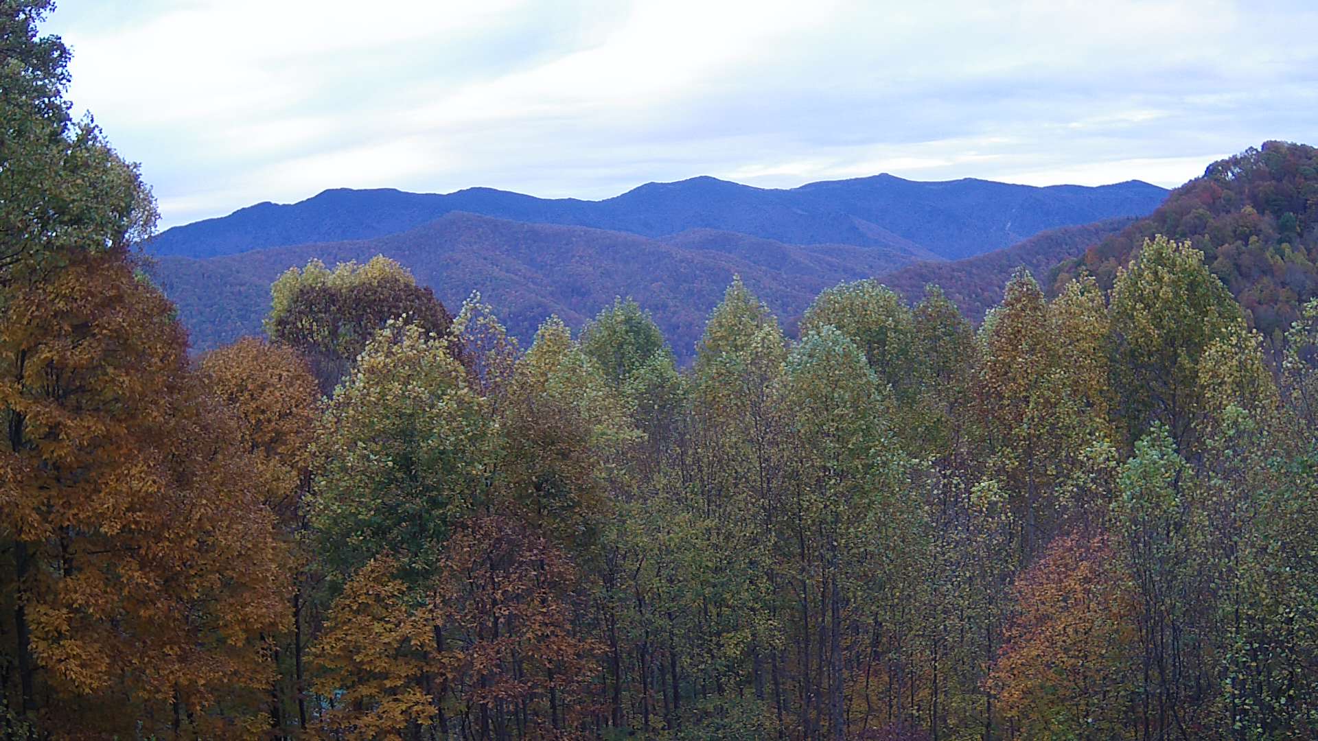 click for next image... slideshow image