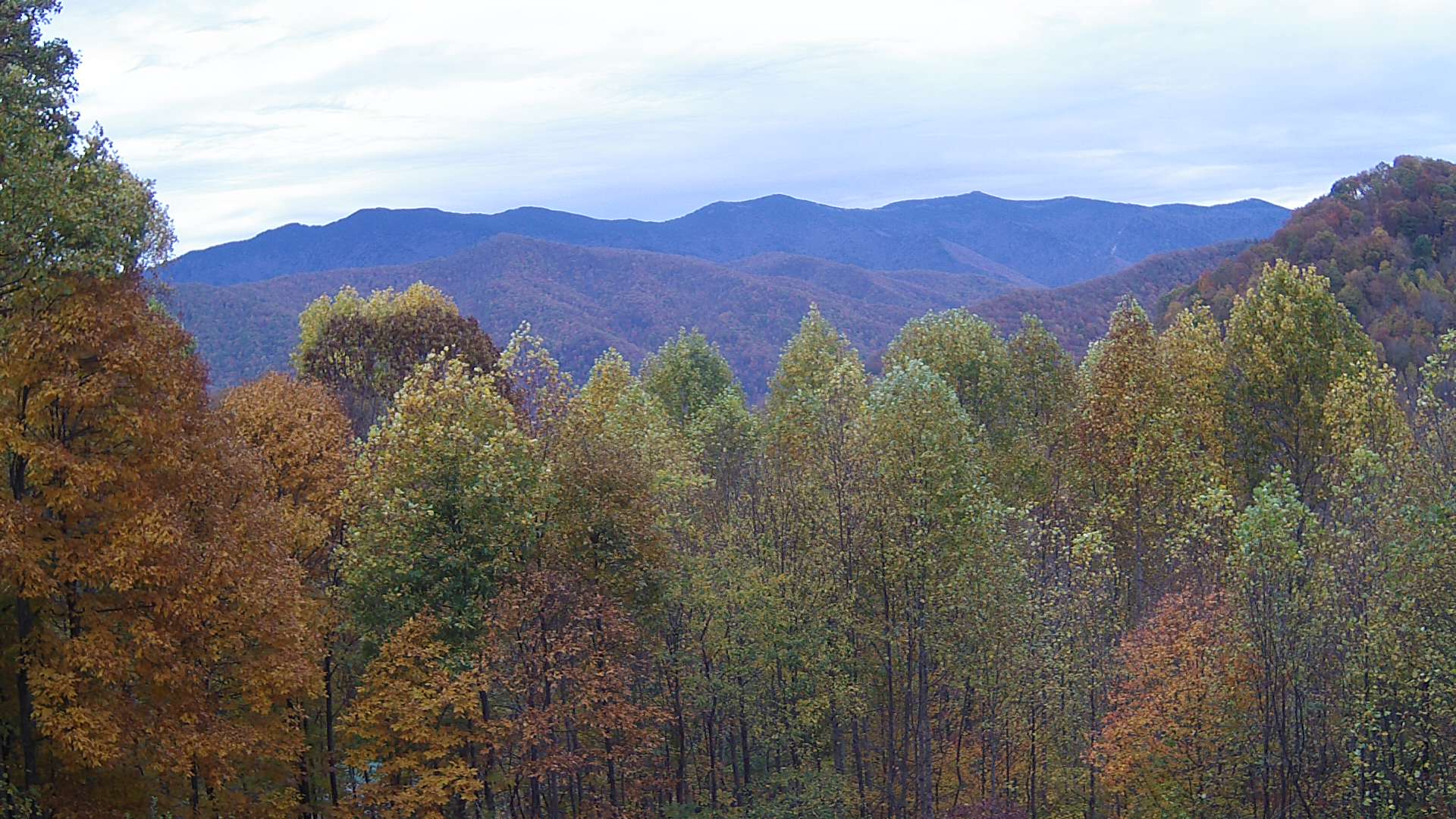 click for next image... slideshow image