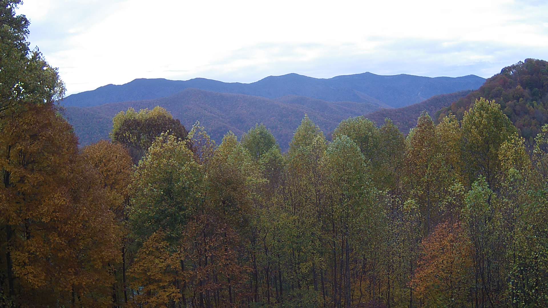 click for next image... slideshow image