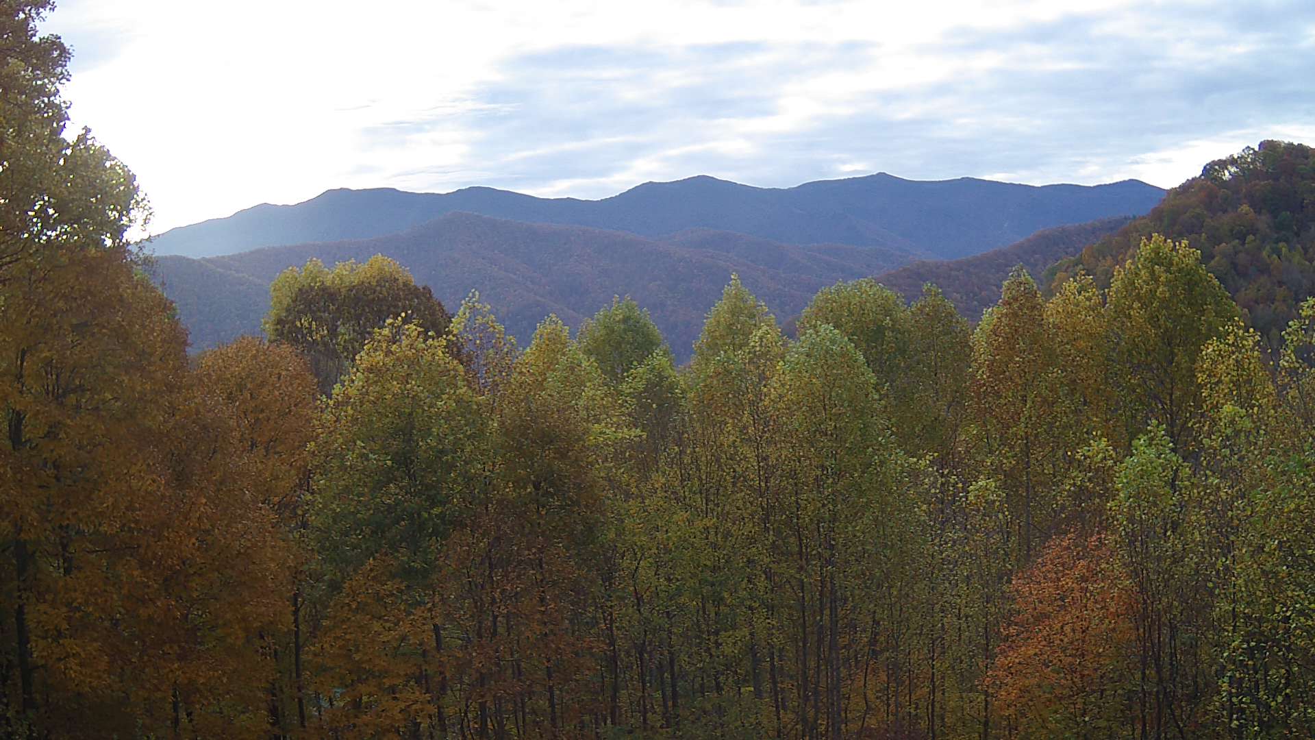 click for next image... slideshow image