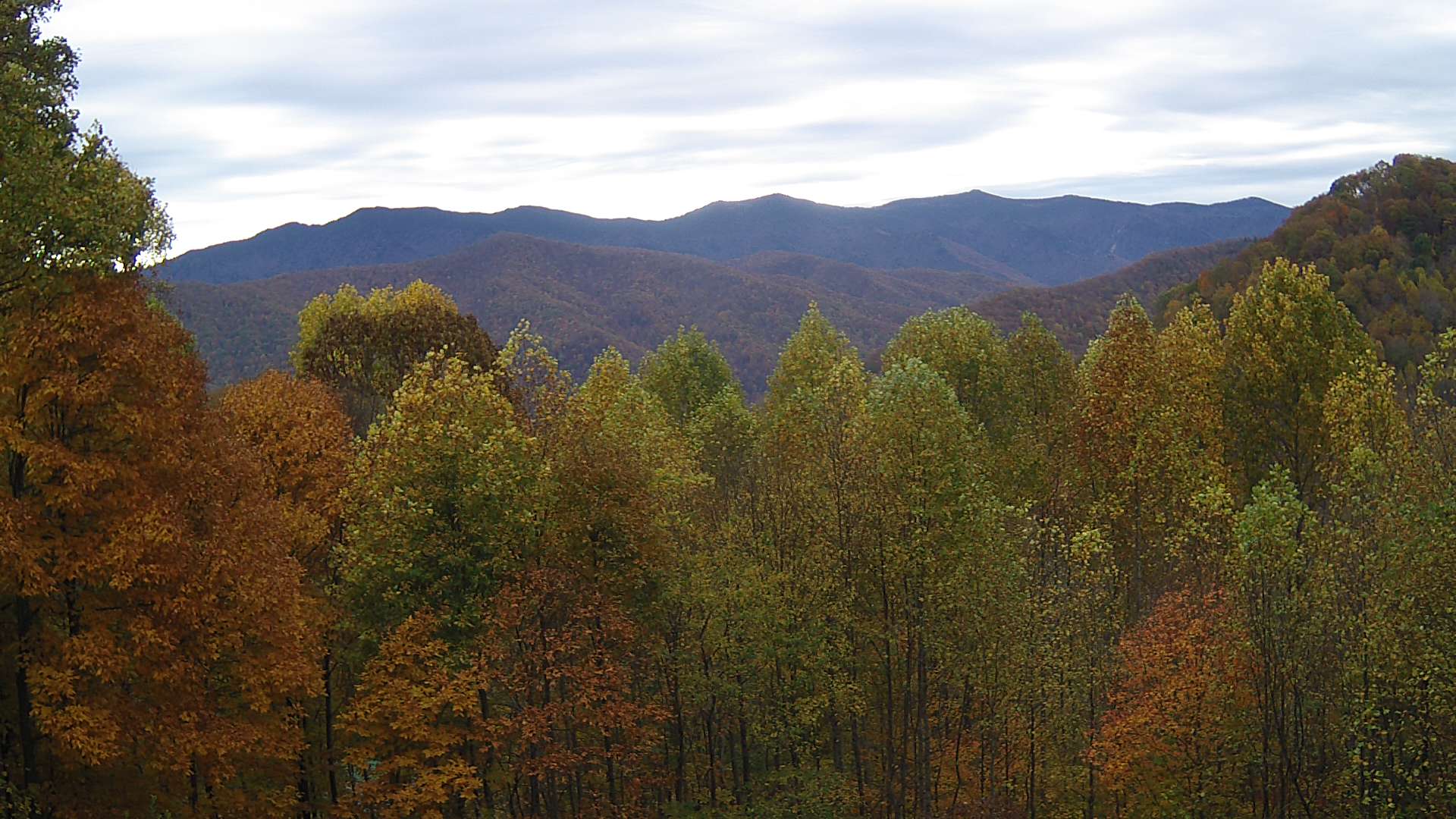 click for next image... slideshow image