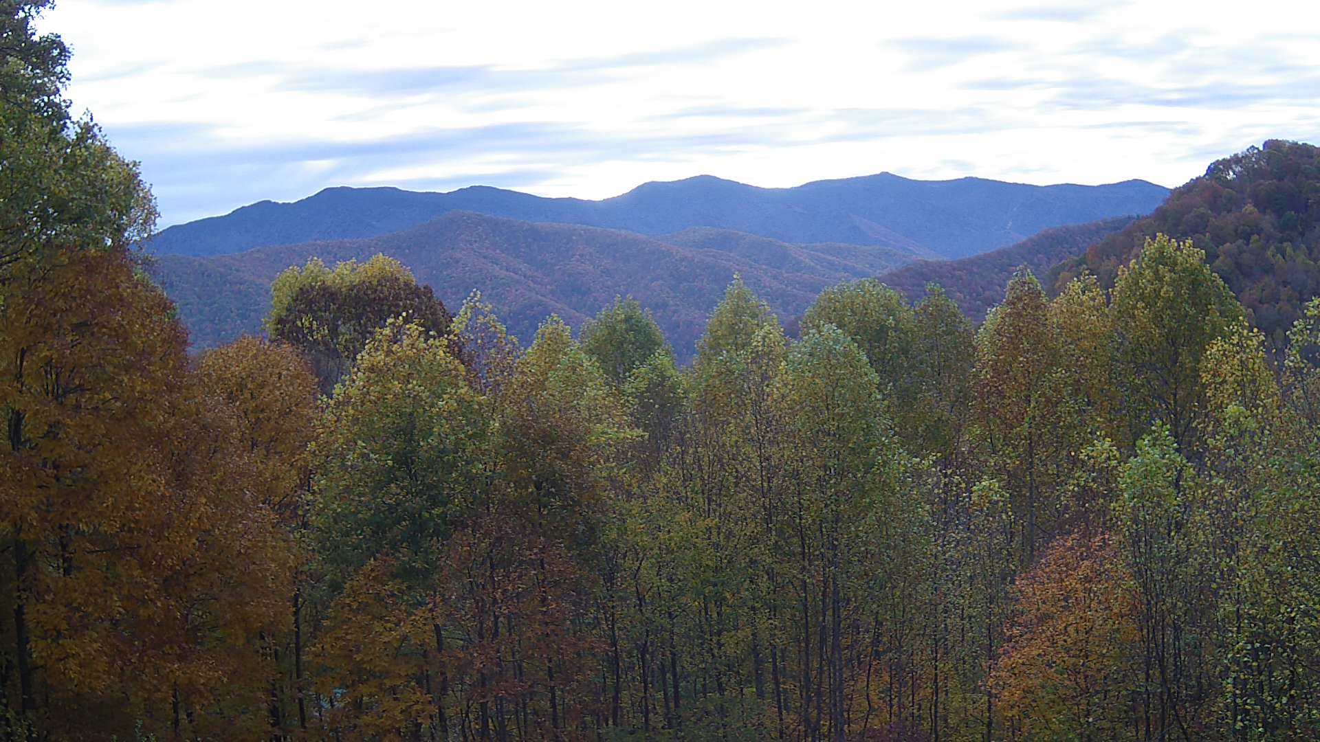 click for next image... slideshow image