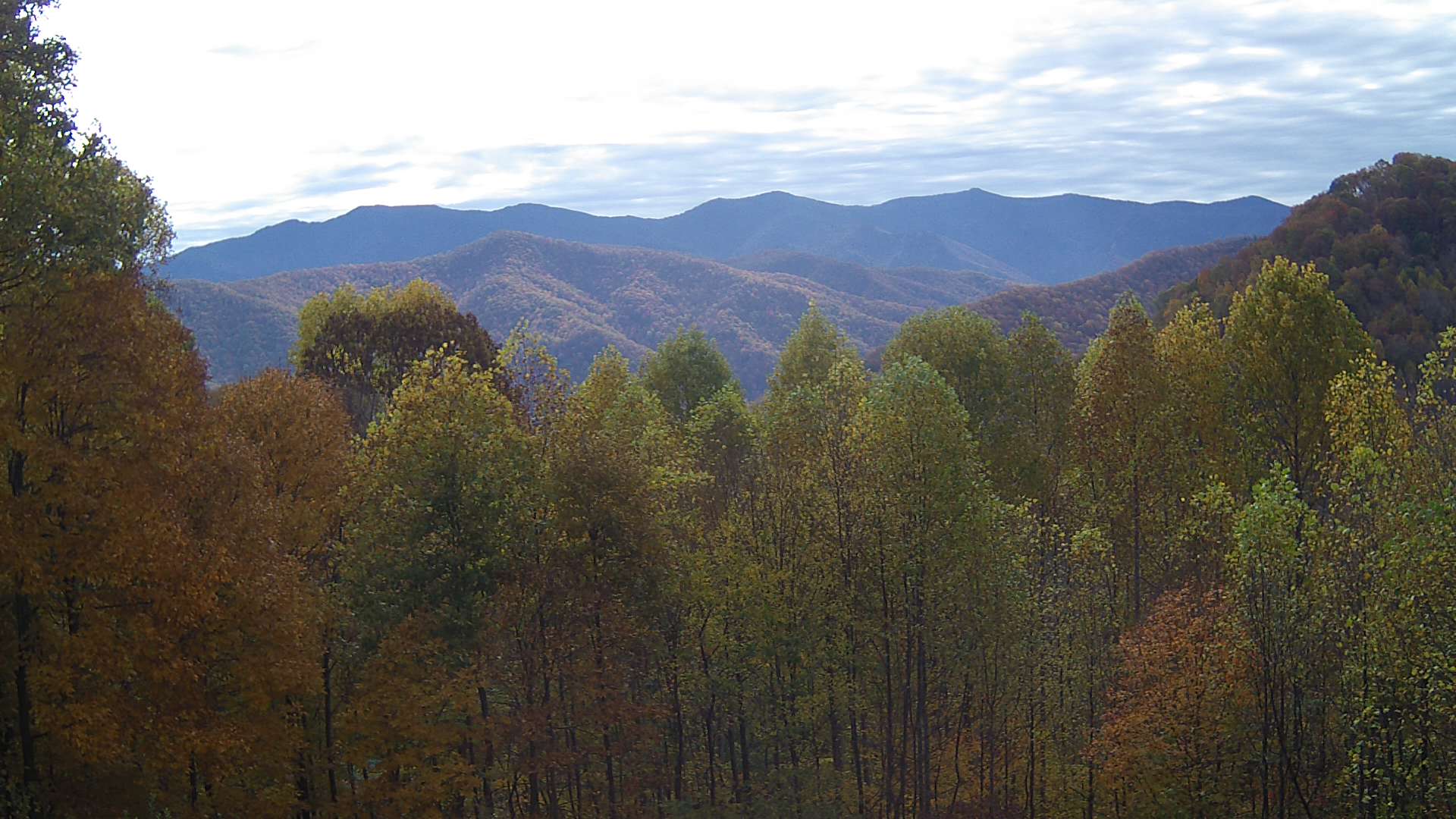 click for next image... slideshow image