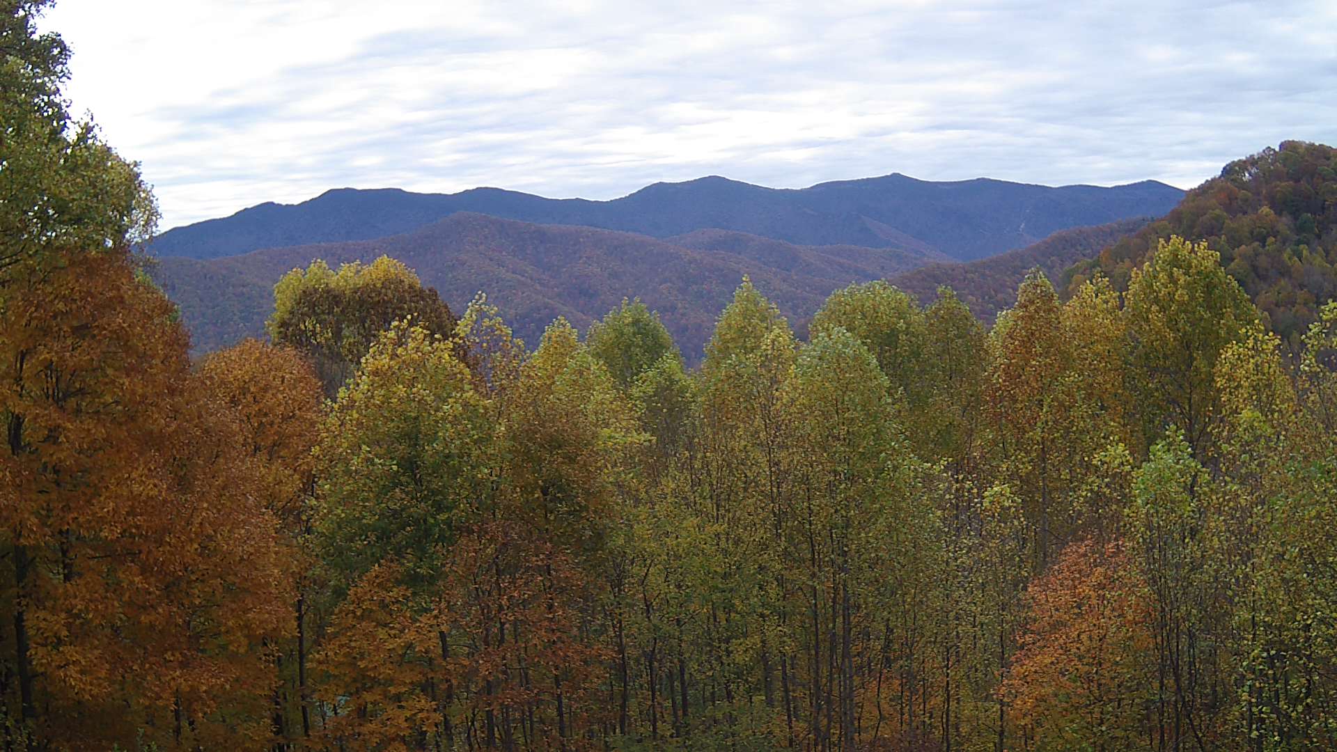 click for next image... slideshow image