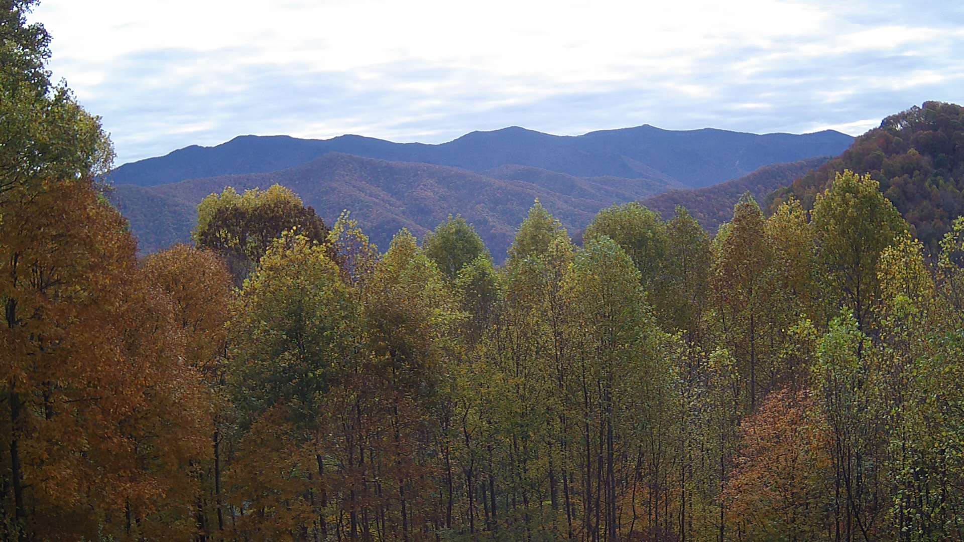 click for next image... slideshow image