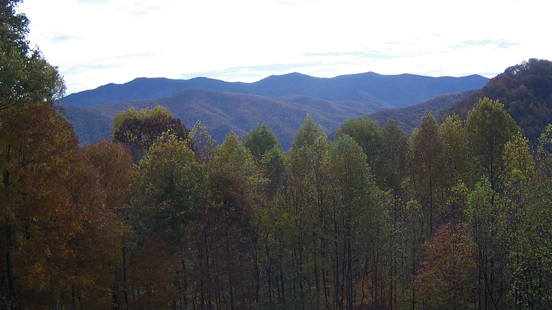 click for next image... slideshow image