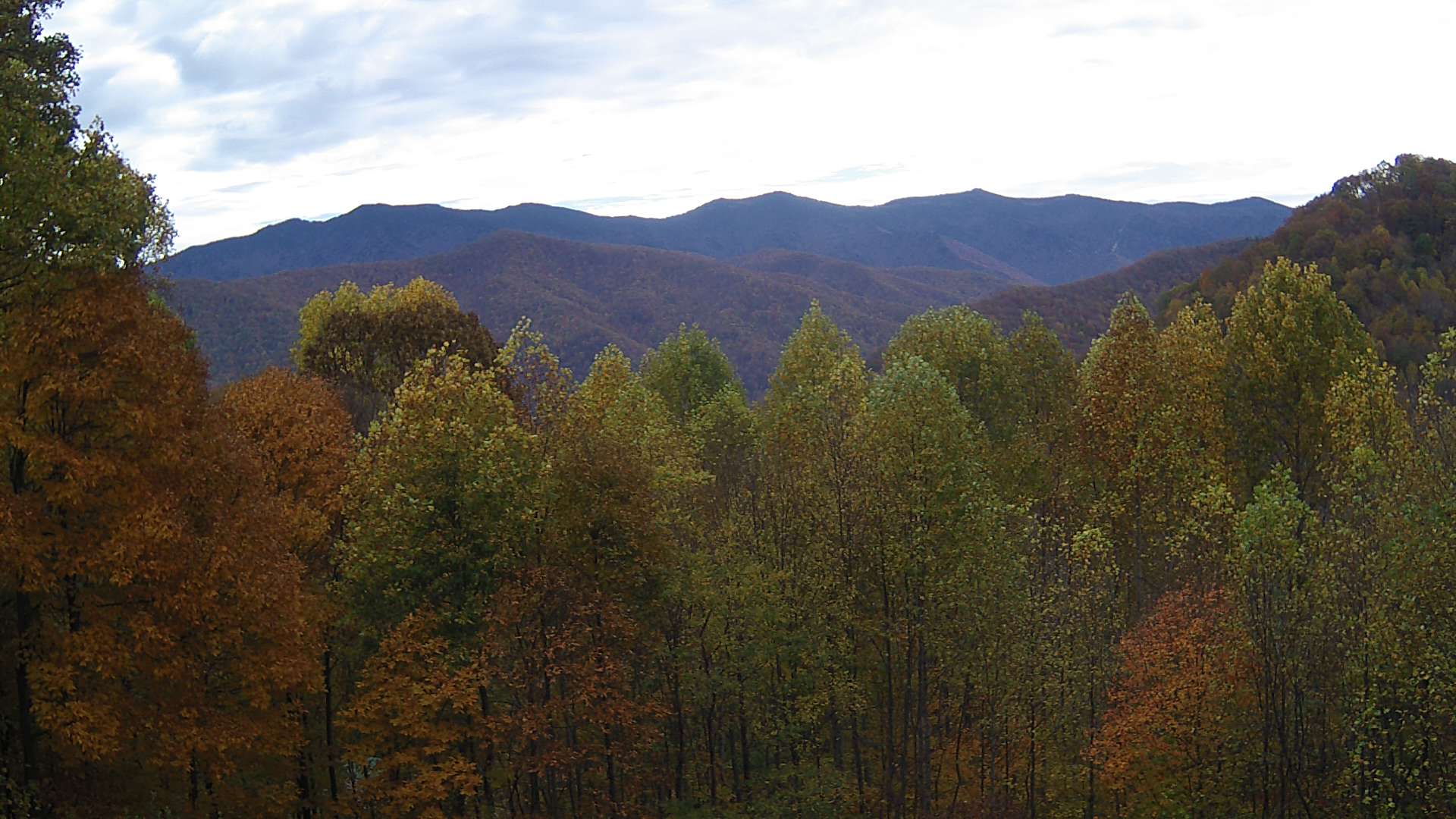 click for next image... slideshow image