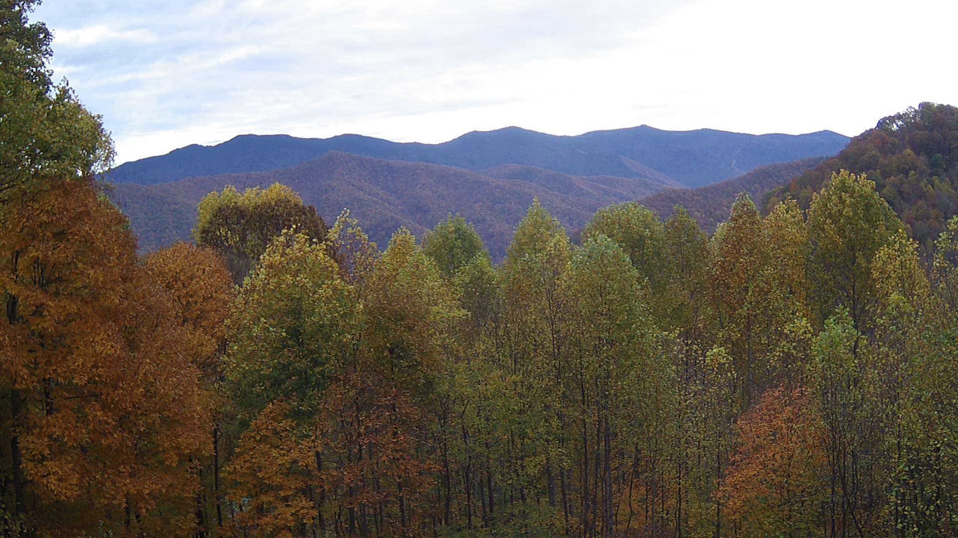 click for next image... slideshow image