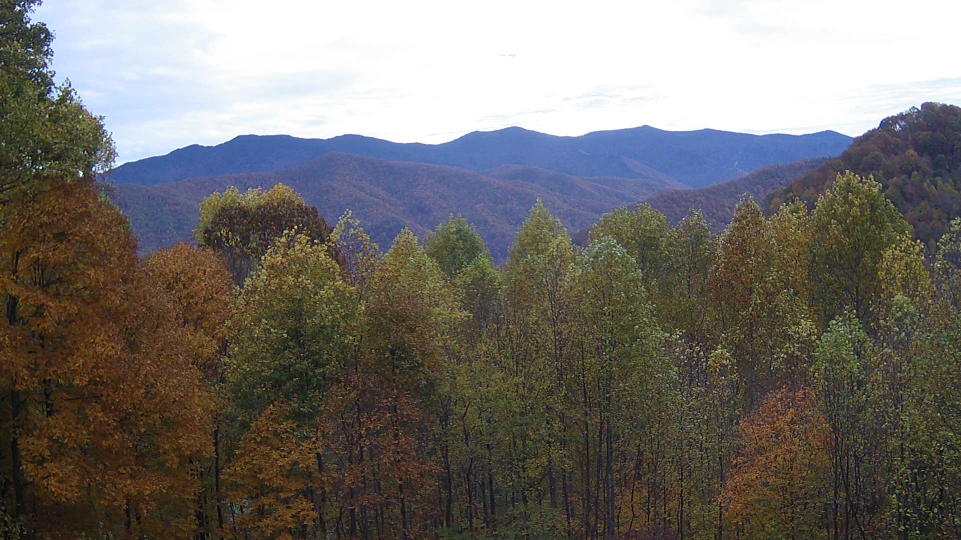 click for next image... slideshow image