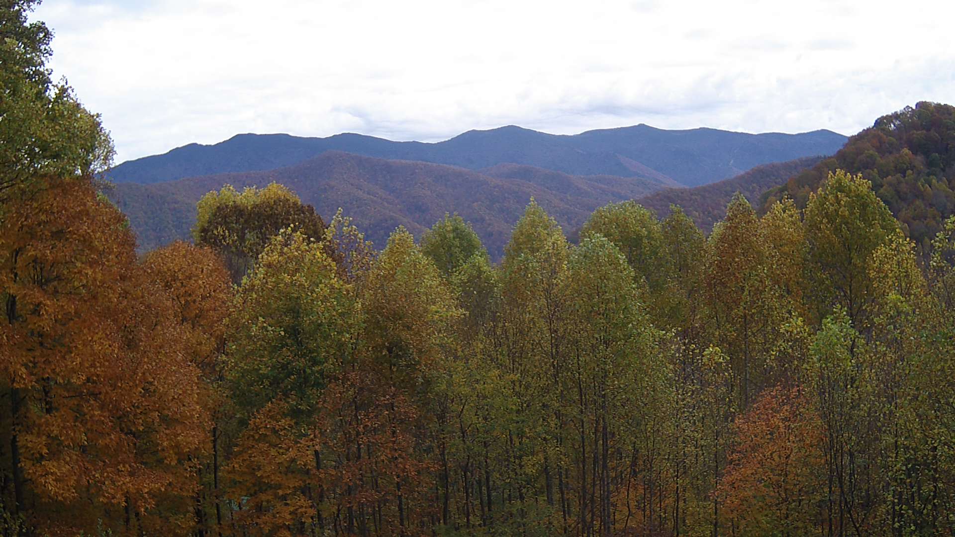 click for next image... slideshow image