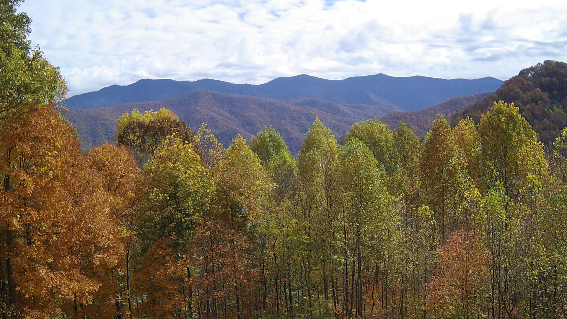 click for next image... slideshow image