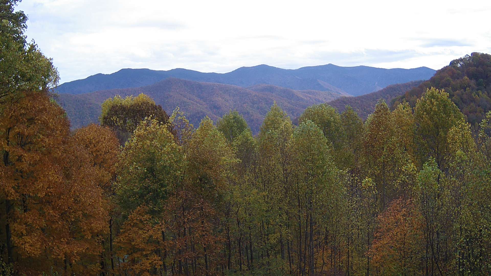 click for next image... slideshow image