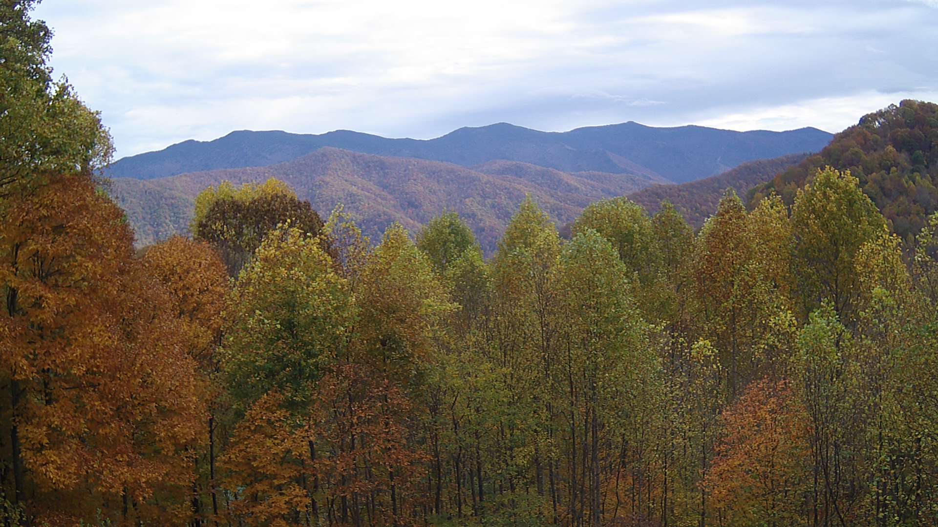 click for next image... slideshow image