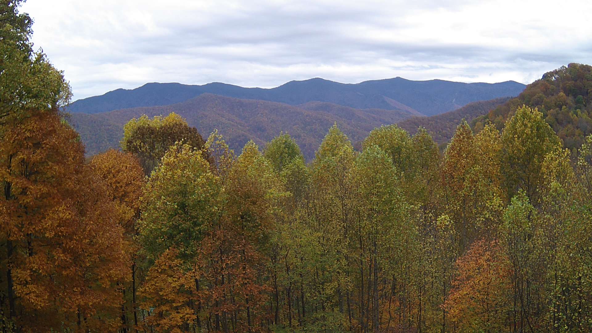 click for next image... slideshow image