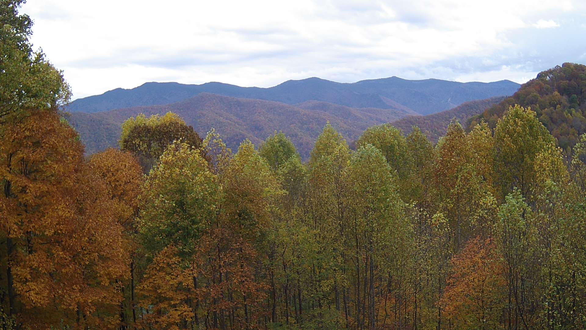 click for next image... slideshow image