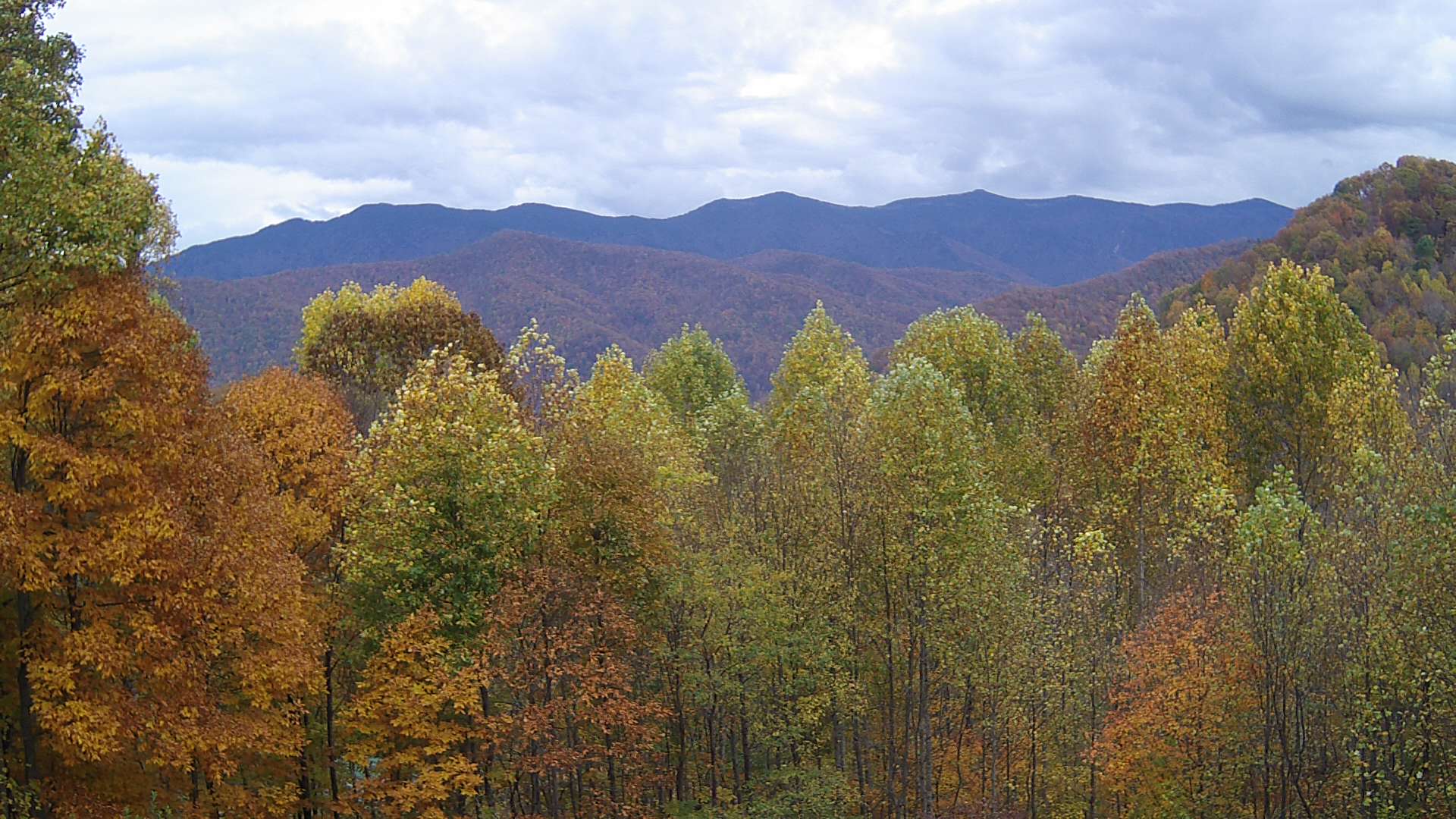 click for next image... slideshow image