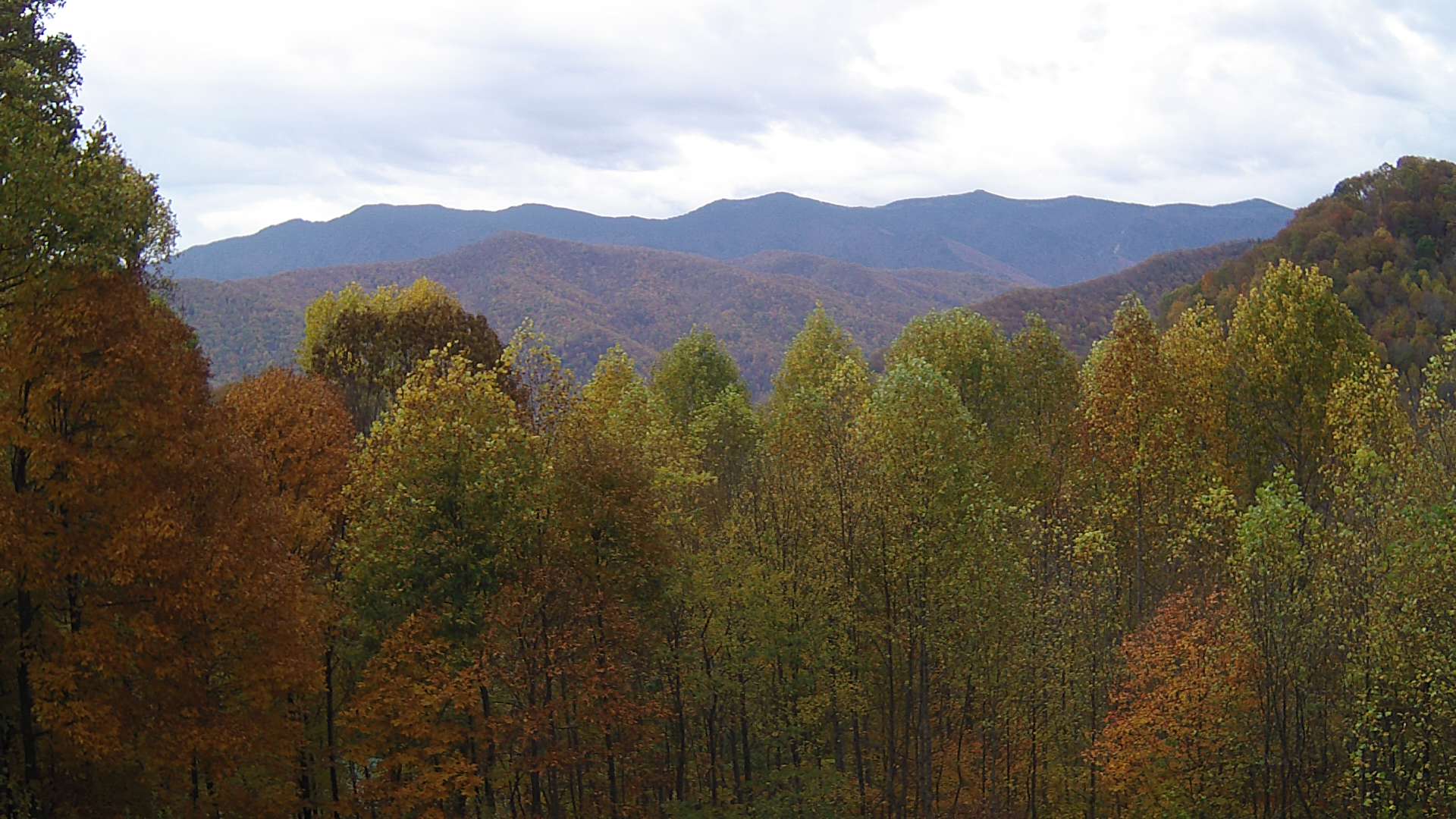 click for next image... slideshow image