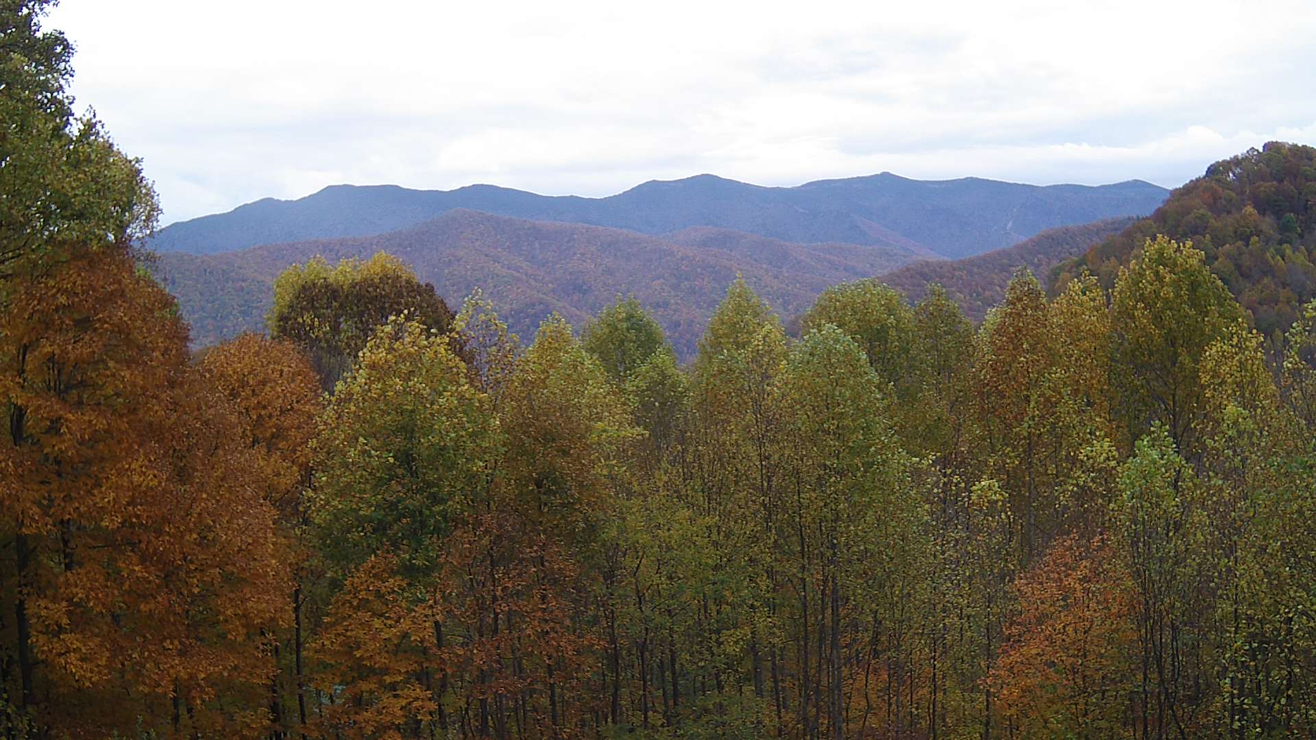 click for next image... slideshow image