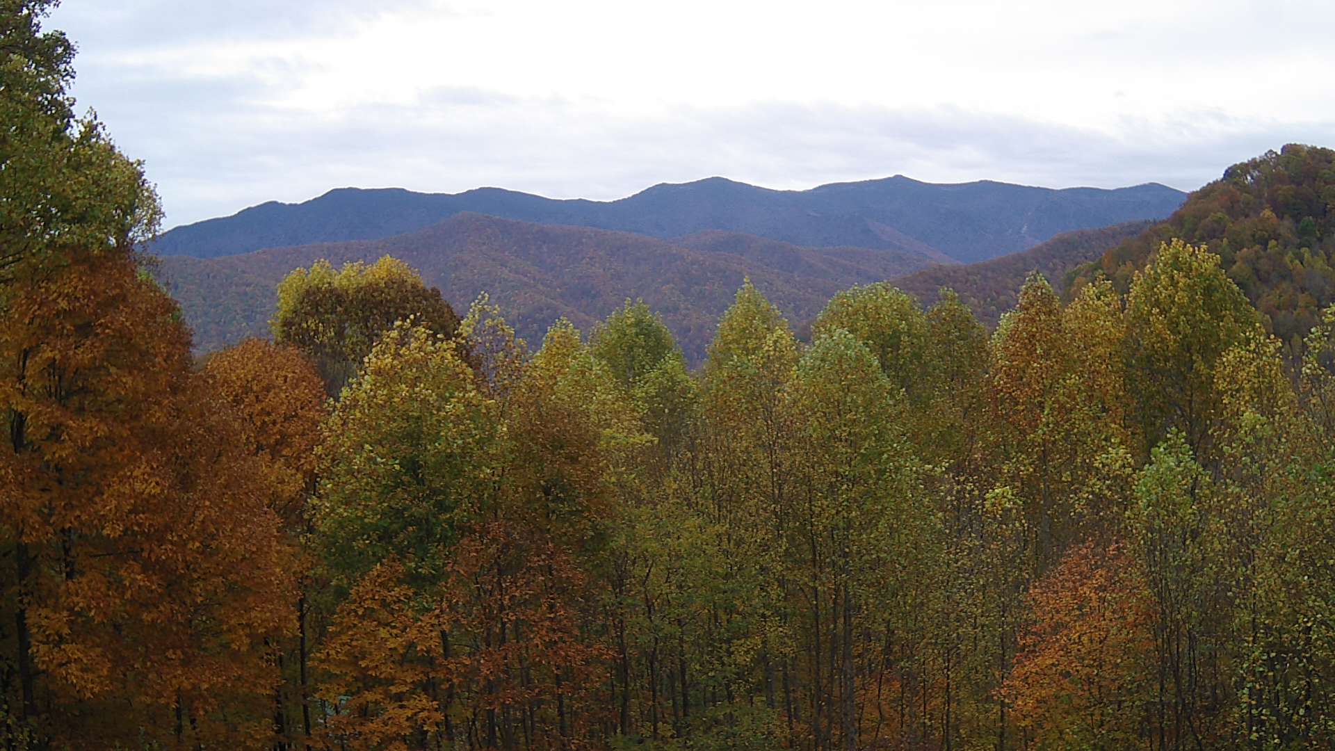 click for next image... slideshow image