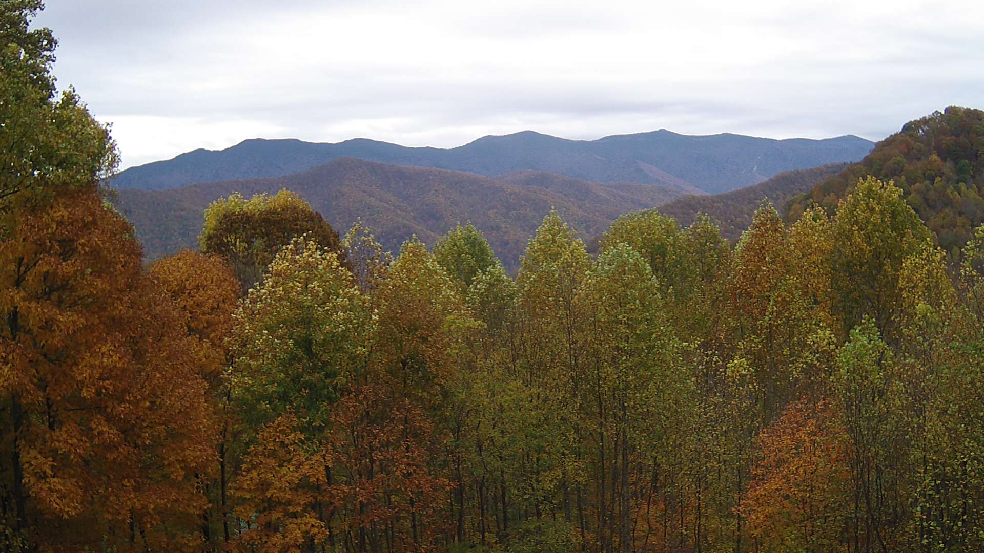 click for next image... slideshow image