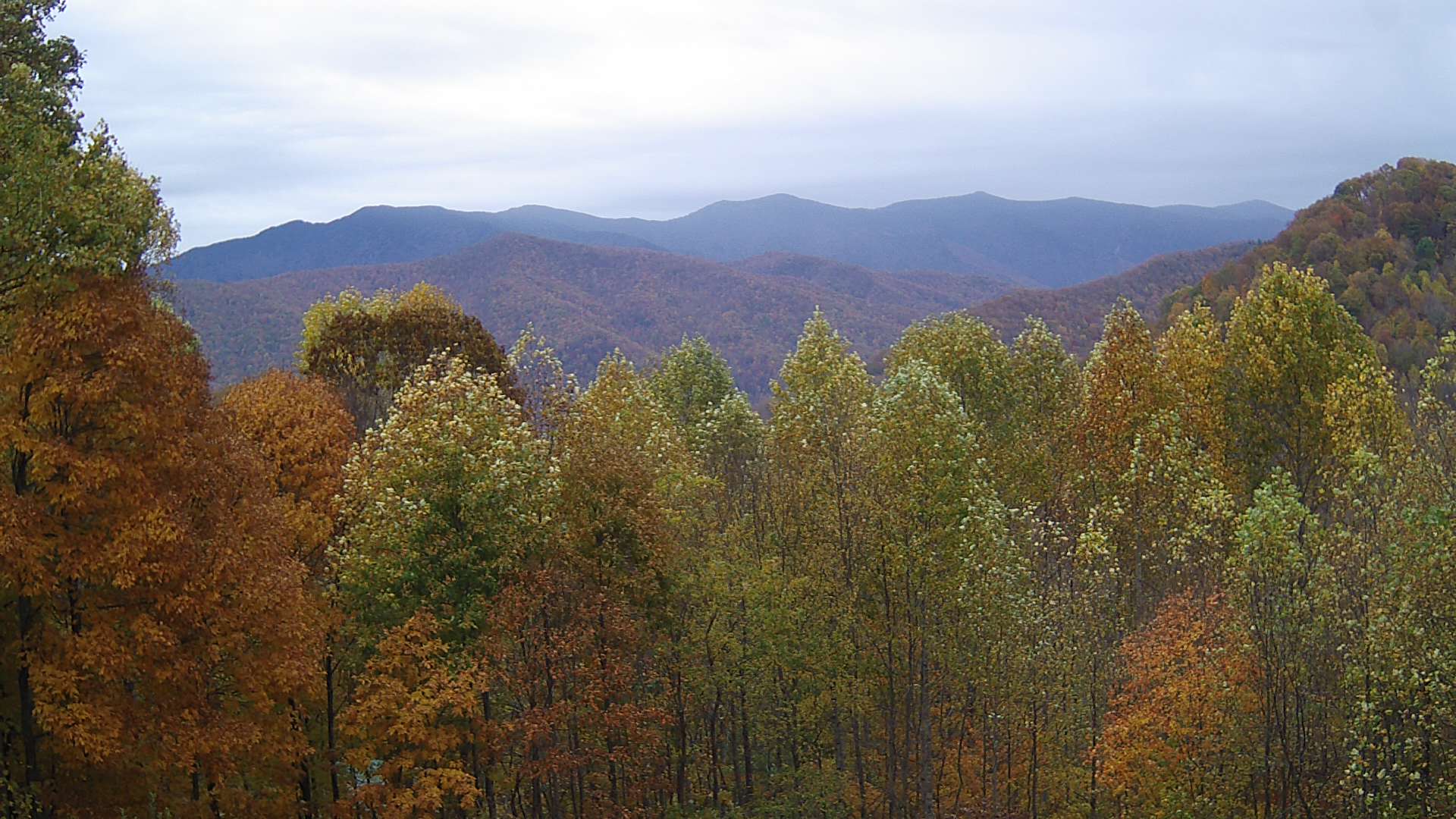 click for next image... slideshow image